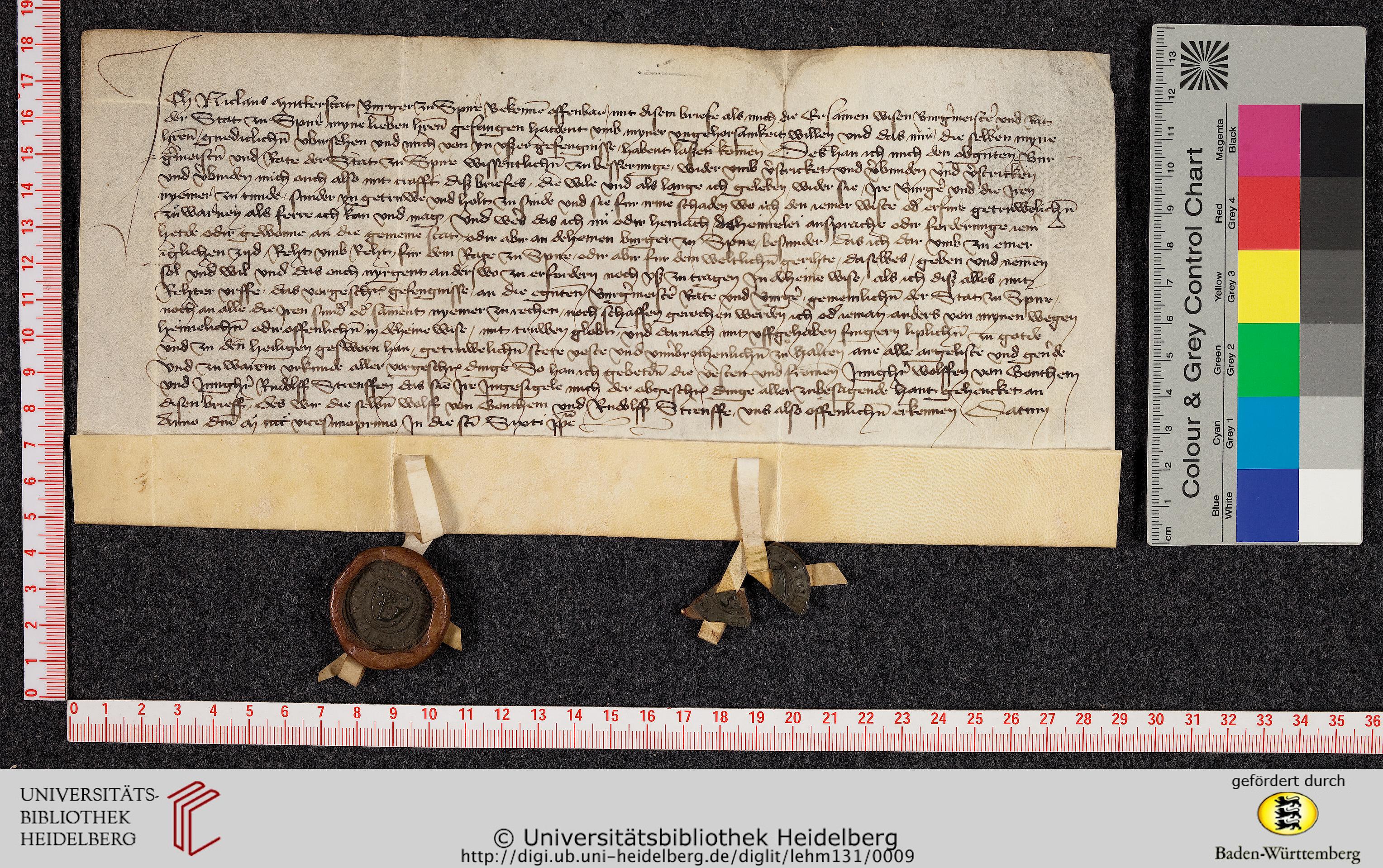 http://digi.ub.uni-heidelberg.de/diglitData/image/lehm131/4/massstab_farbkeil.jpg