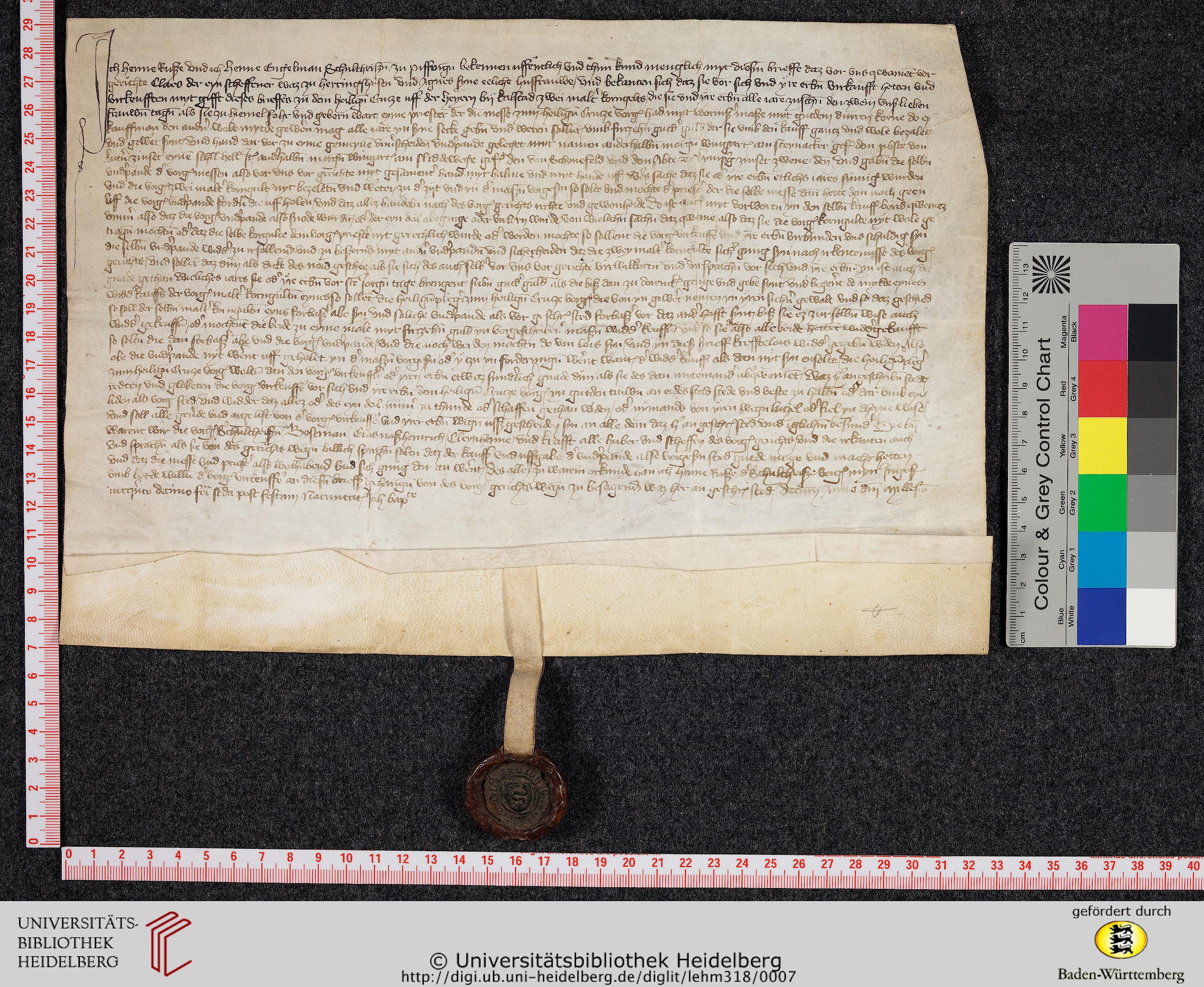 http://digi.ub.uni-heidelberg.de/diglitData/image/lehm318/4/massstab_farbkeil.jpg