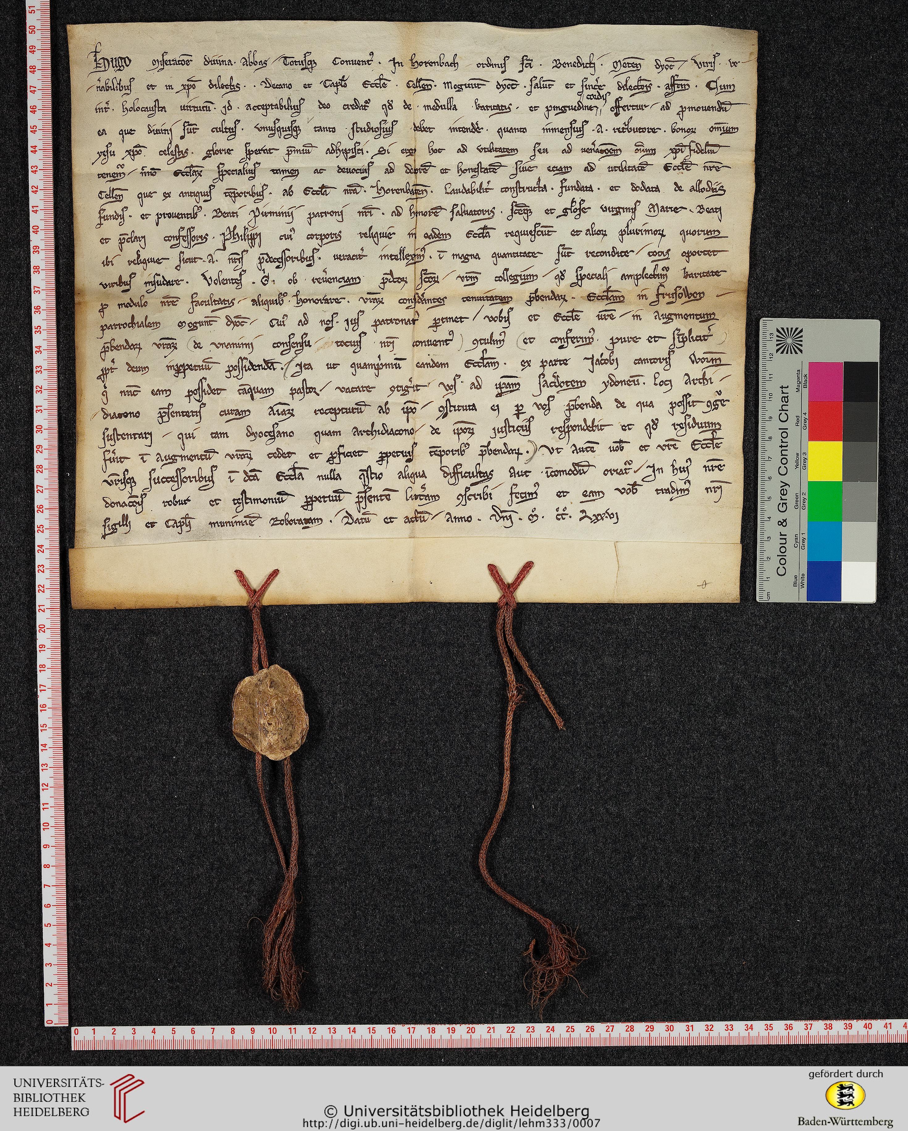http://digi.ub.uni-heidelberg.de/diglitData/image/lehm333/4/massstab_farbkeil.jpg
