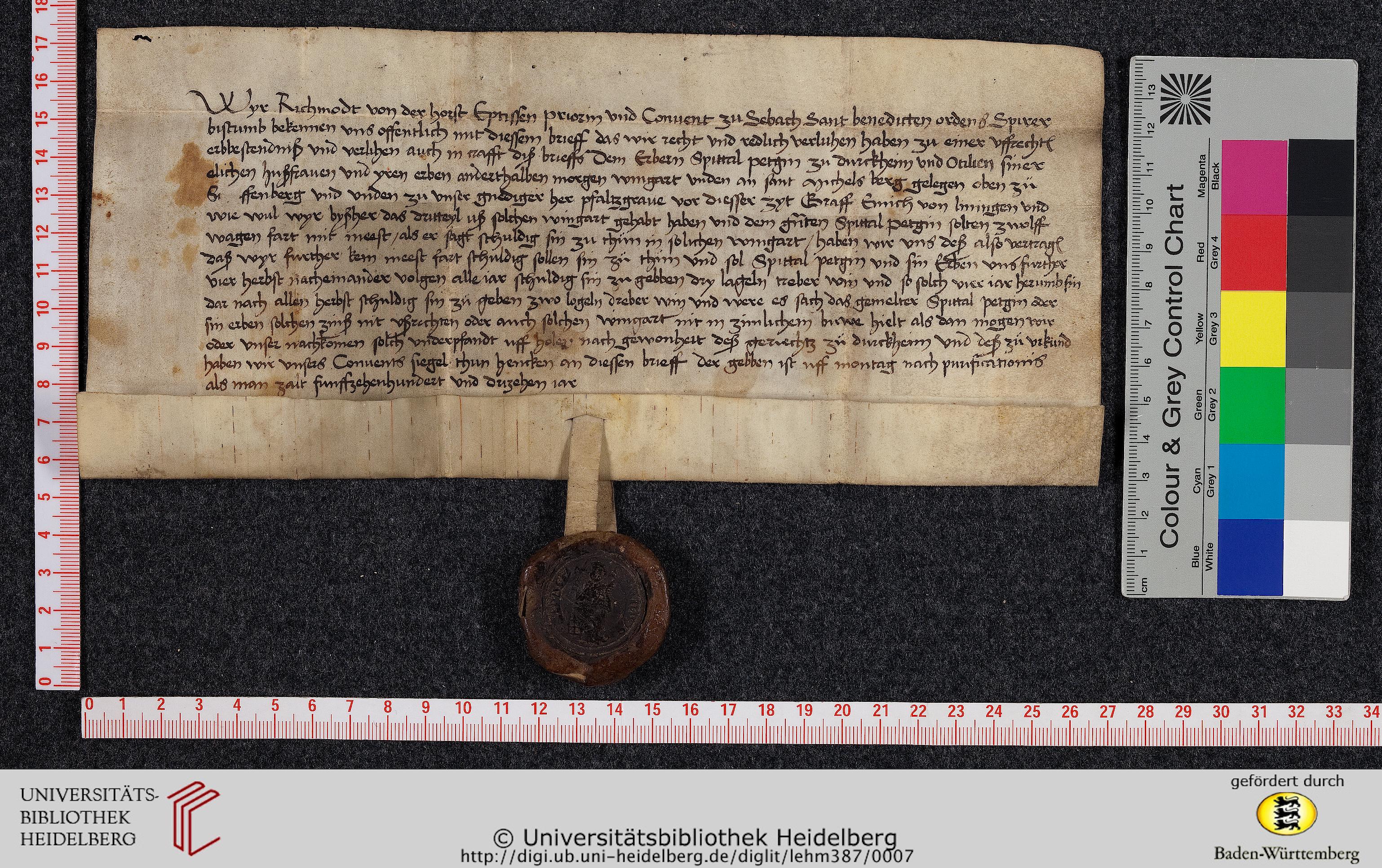 http://digi.ub.uni-heidelberg.de/diglitData/image/lehm387/4/massstab_farbkeil.jpg