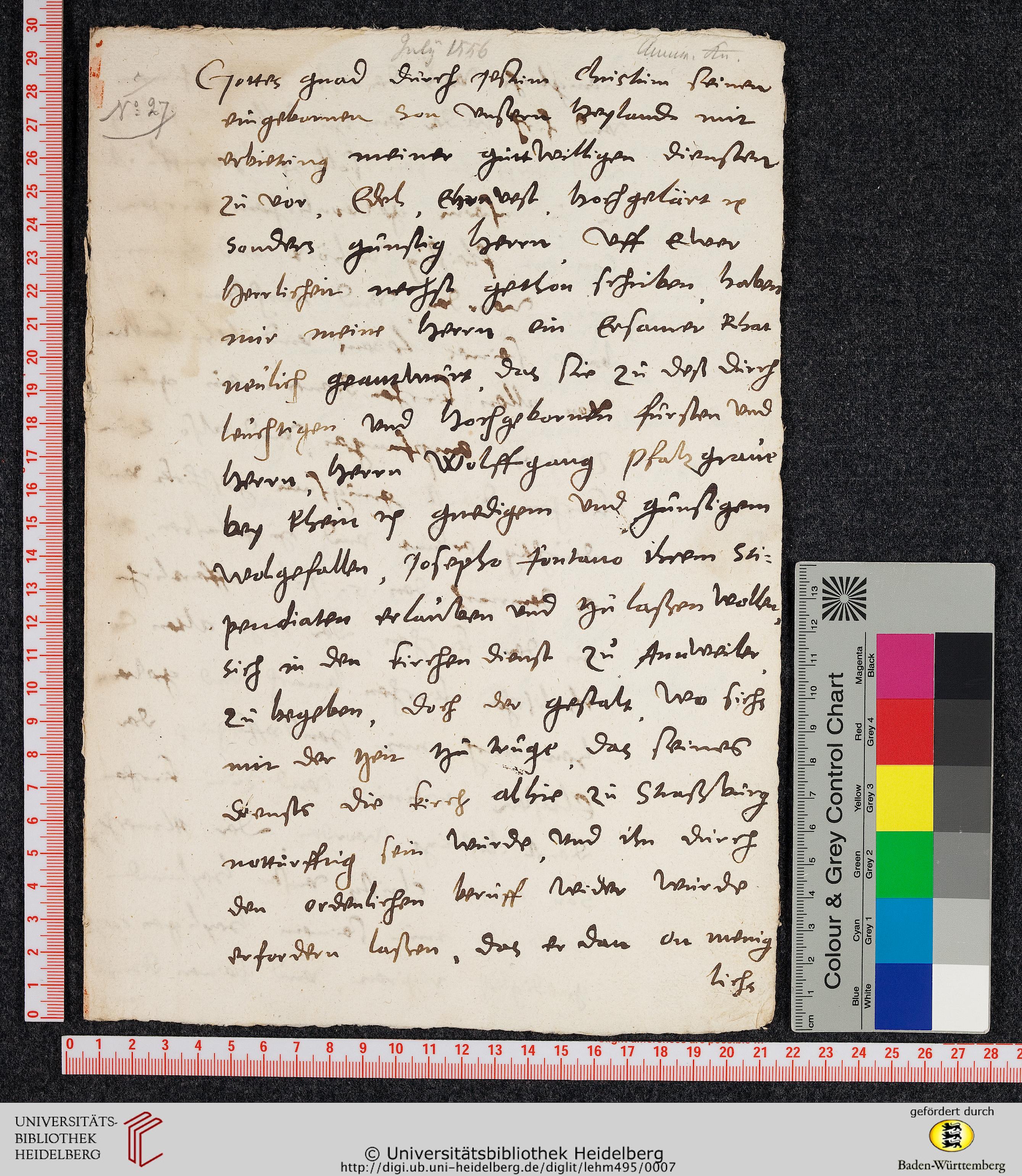 http://digi.ub.uni-heidelberg.de/diglitData/image/lehm495/4/massstab_farbkeil.jpg