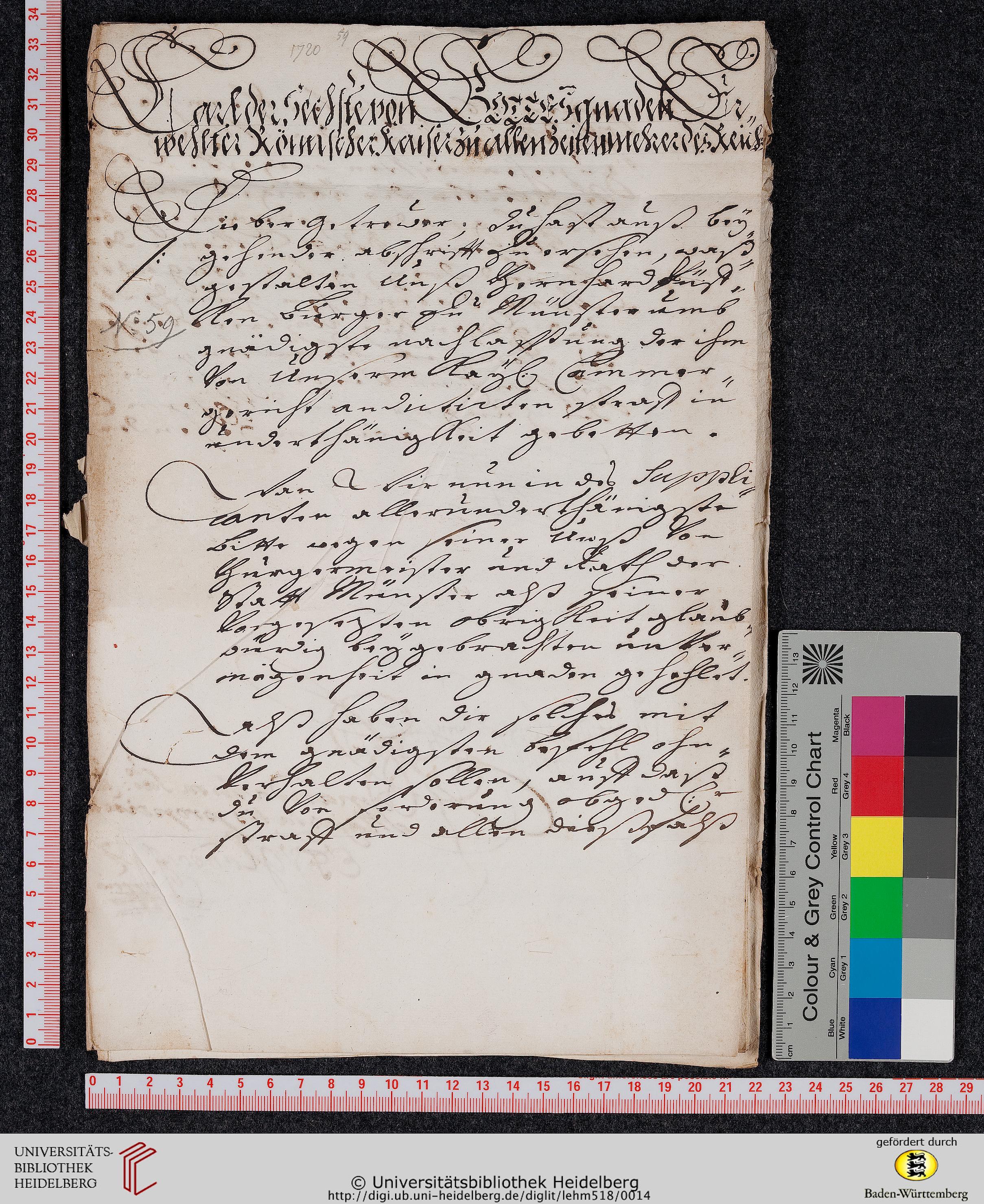 http://digi.ub.uni-heidelberg.de/diglitData/image/lehm518/4/massstab_farbkeil.jpg