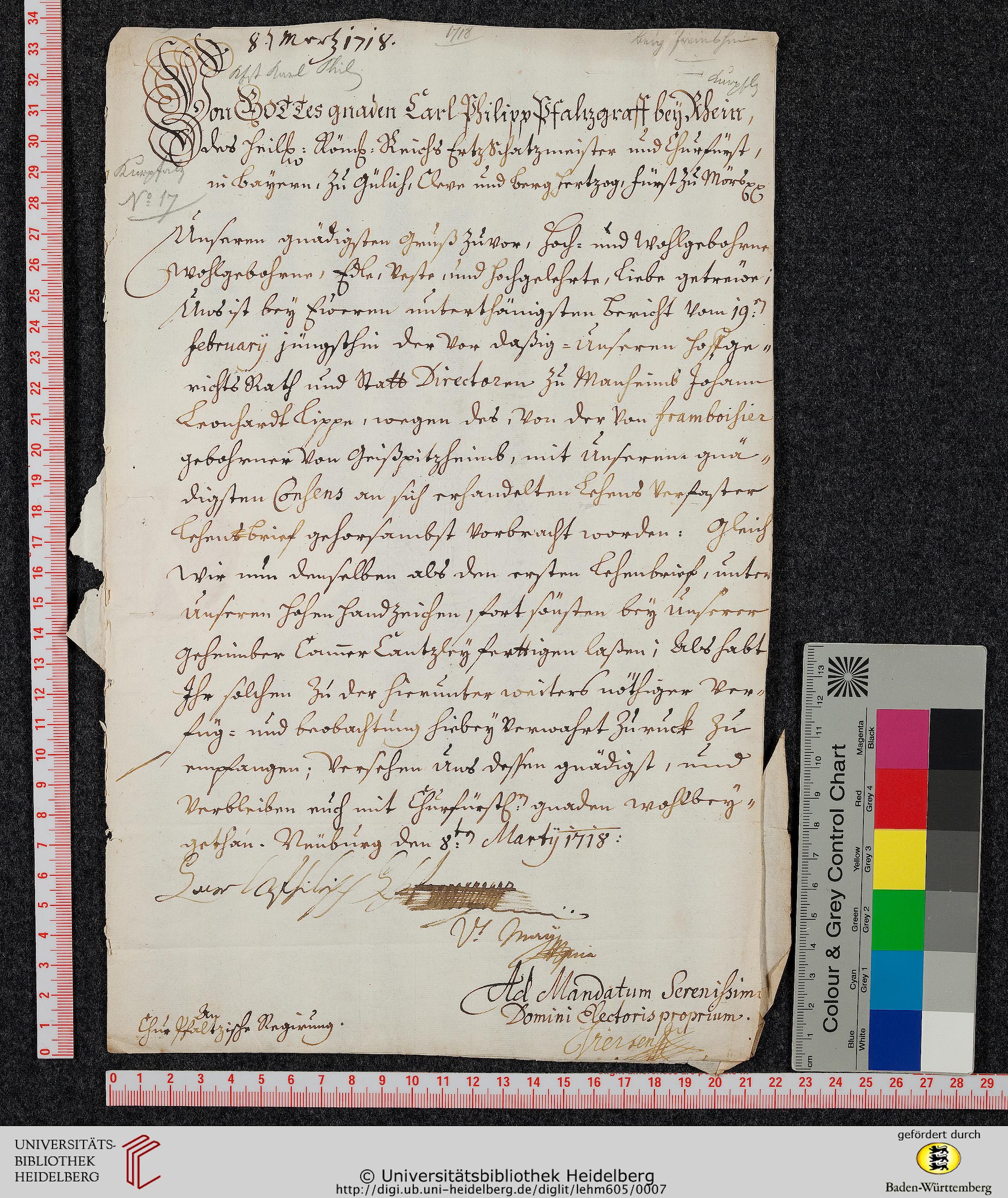 http://digi.ub.uni-heidelberg.de/diglitData/image/lehm605/4/massstab_farbkeil.jpg