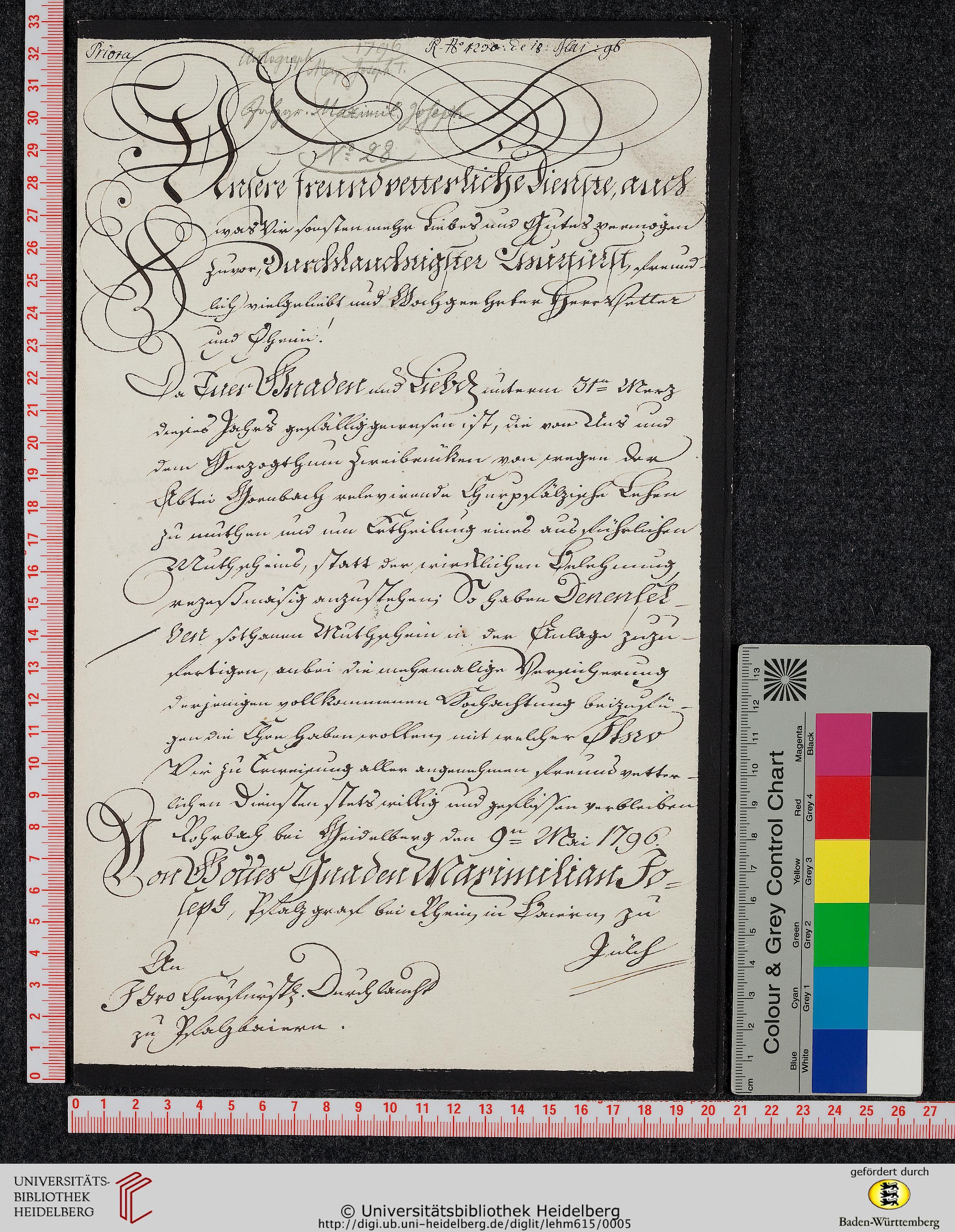http://digi.ub.uni-heidelberg.de/diglitData/image/lehm615/4/massstab_farbkeil.jpg
