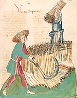 Getreideernte (Cpg 300, fol. 309r)