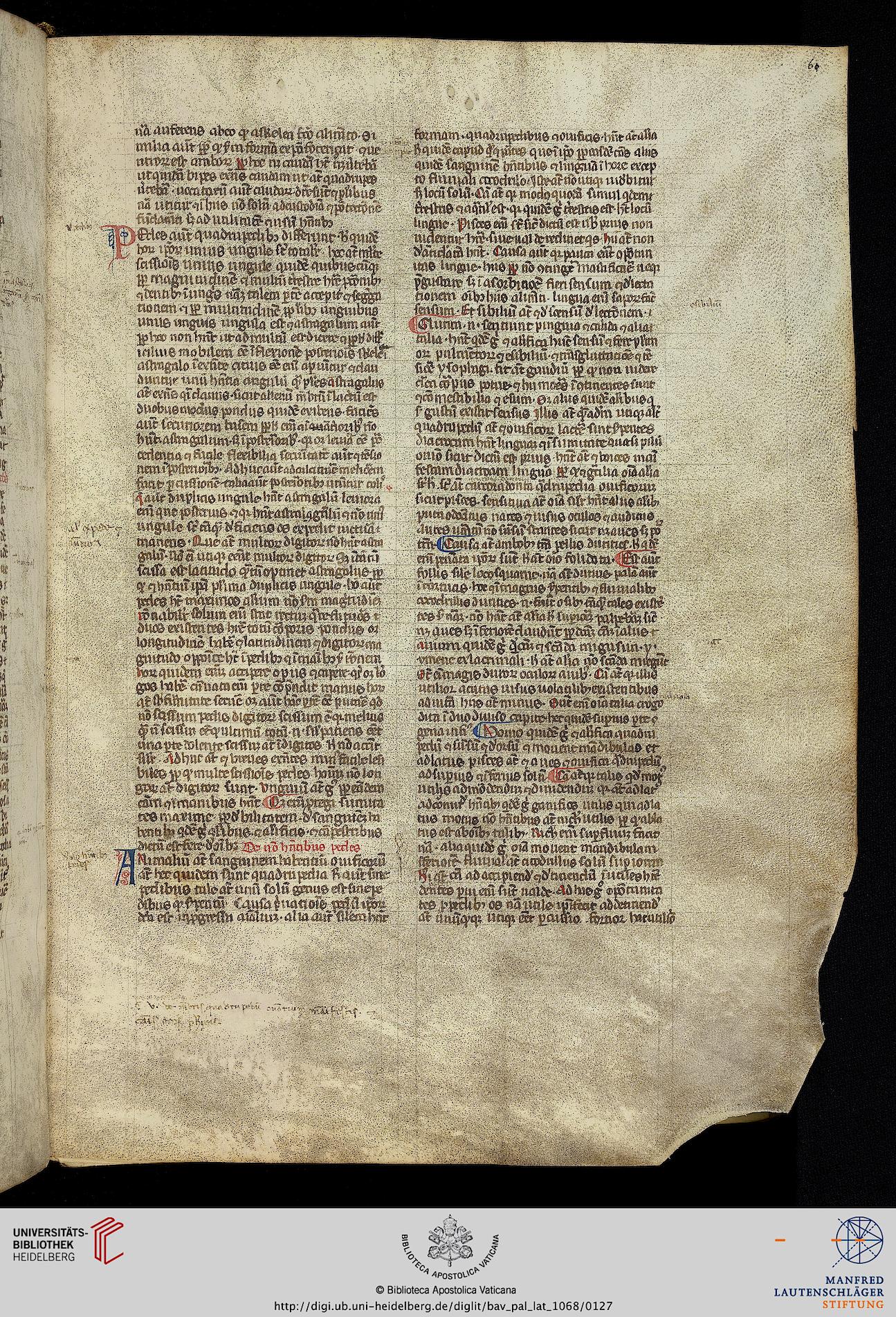facsimile