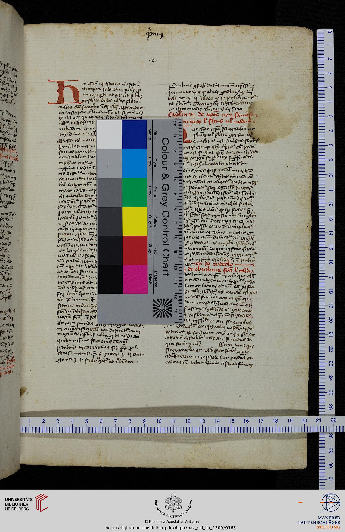 facsimile
