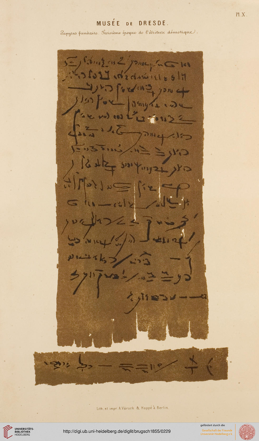 facsimile
