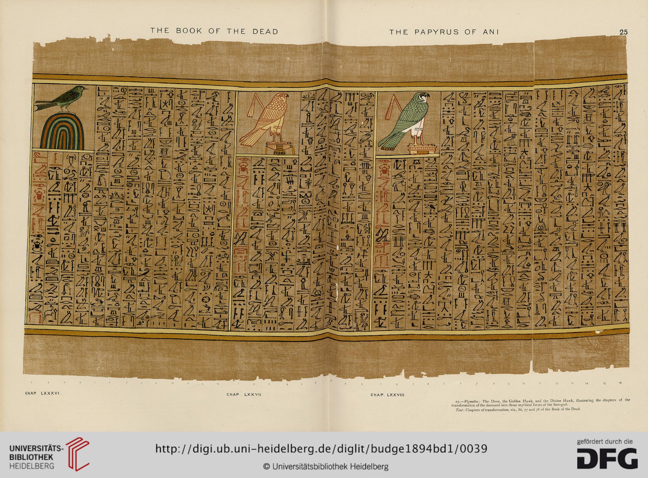 42 negative confessions papyrus of ani 42 negative confessions papyrus of ani