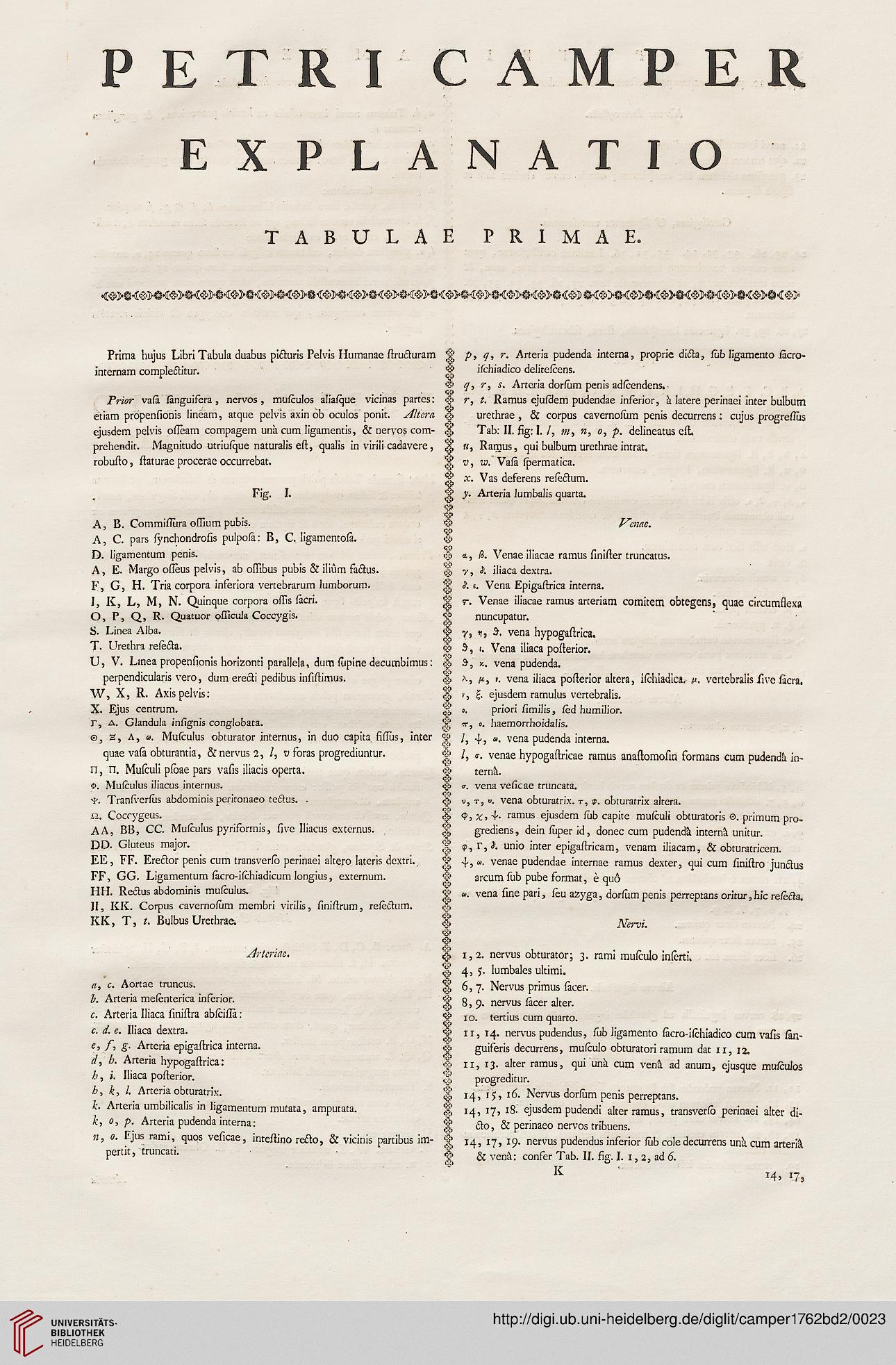Camper Petrus Petri Camper Demonstrationum Anatomico Pathologicarum Liber Band 2 Continens Pelvis Humanae Fabricam Et Morbos Amstelaedami 1762