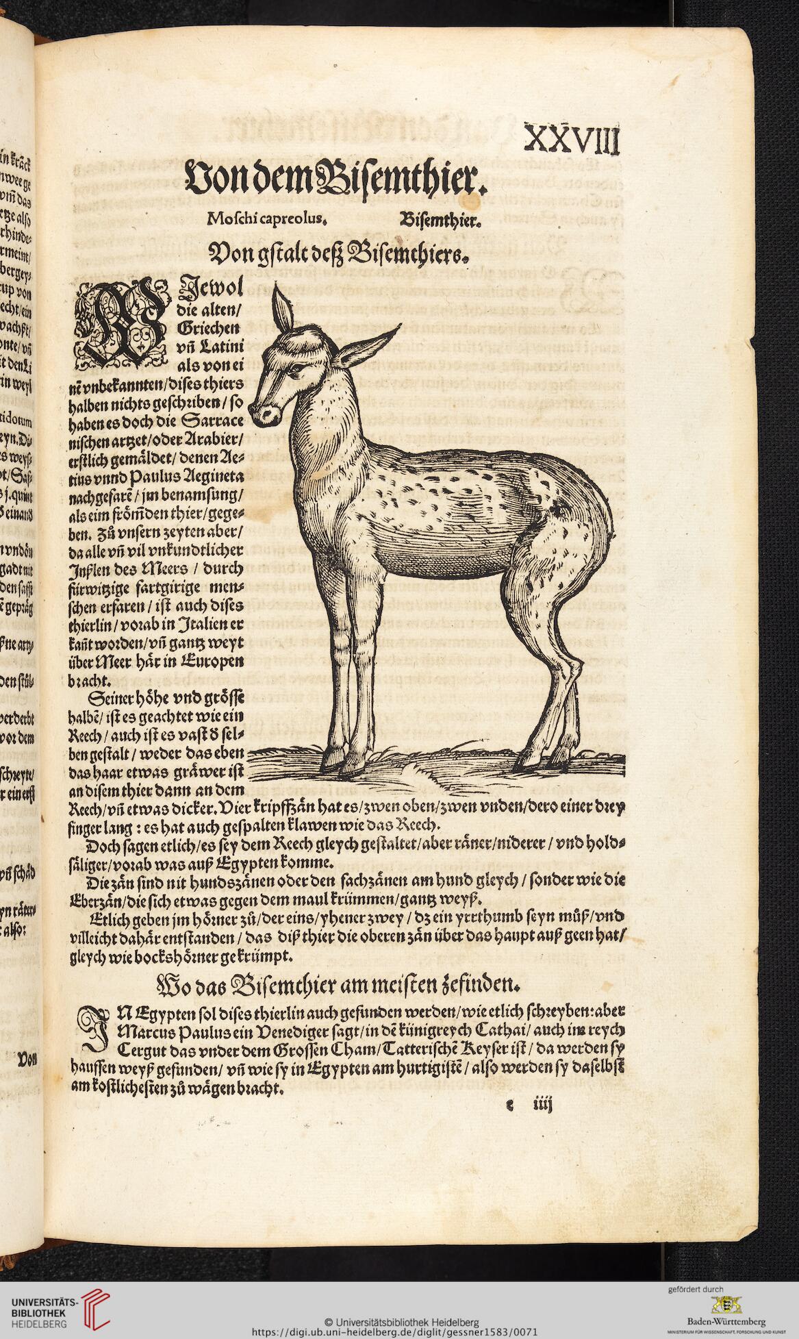 facsimile