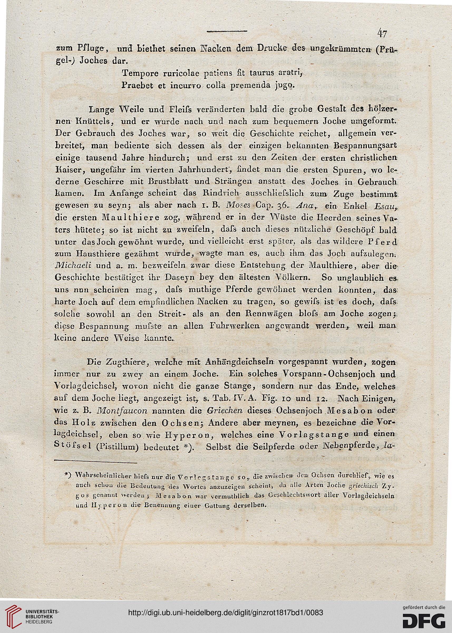 Bibliothek-Frau aus taurus man