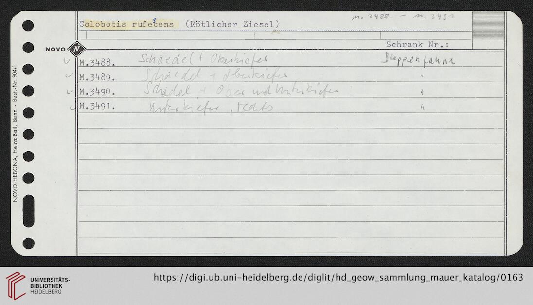 facsimile