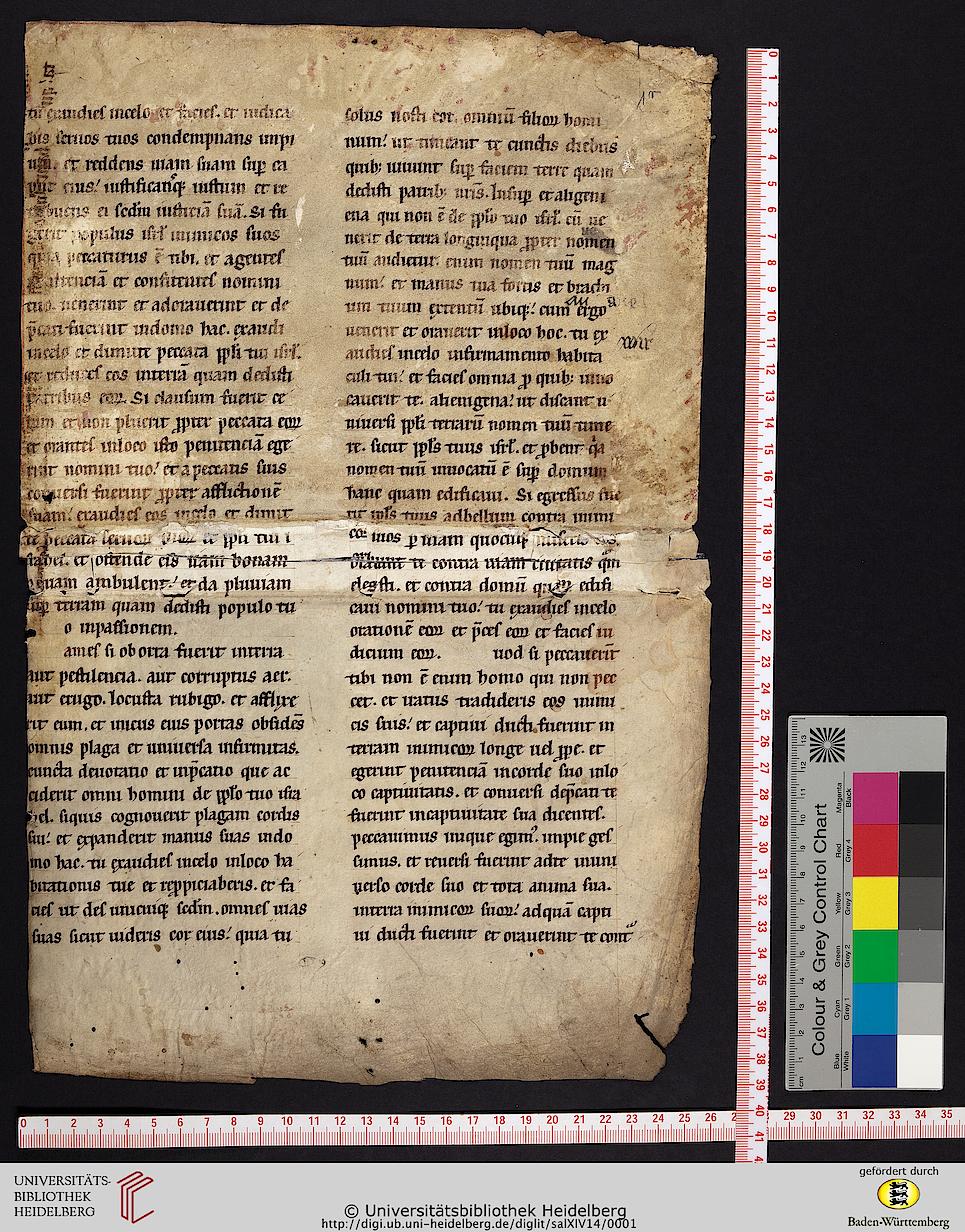 facsimile