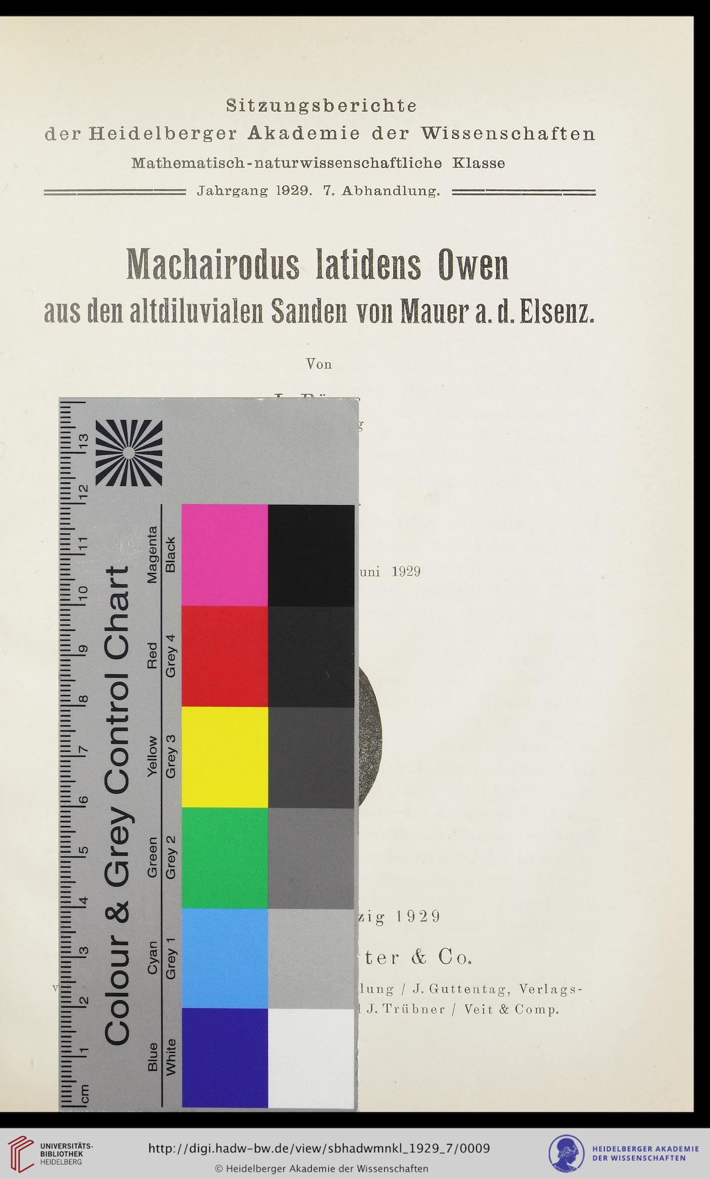 facsimile