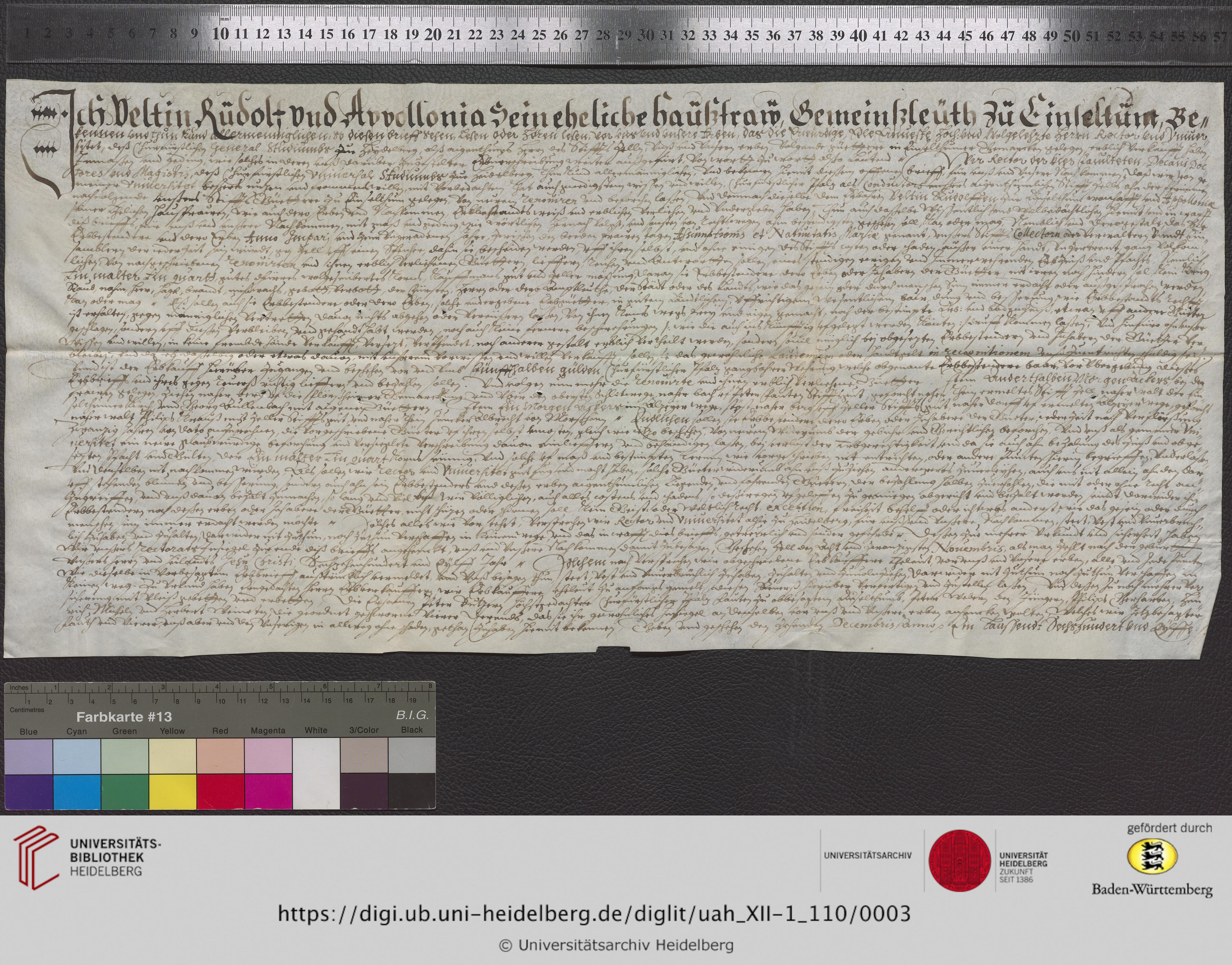 https://digi.ub.uni-heidelberg.de/diglitData/image/uah_XII-1_110/3/uah_xii-1_110_z1.jpg