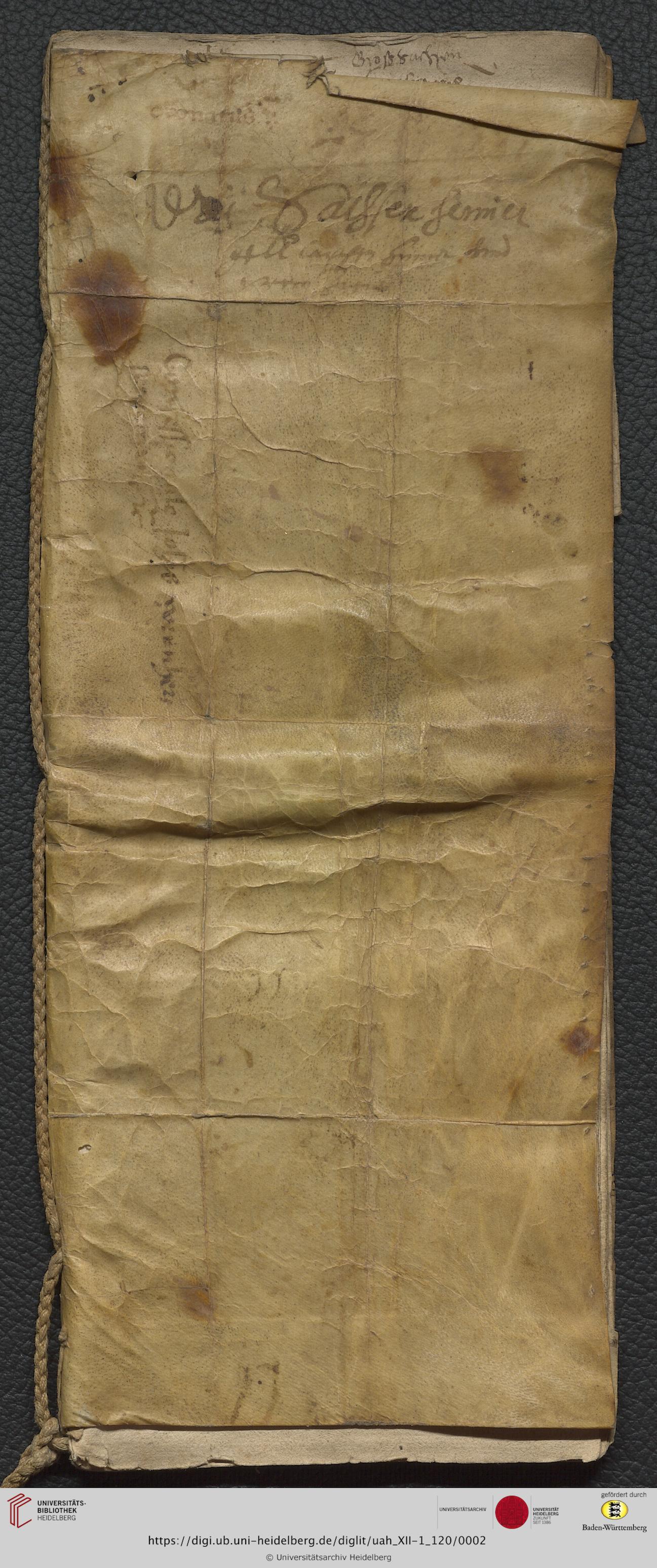 https://digi.ub.uni-heidelberg.de/diglitData/image/uah_XII-1_120/3/uah_xii-1_120_c01.jpg