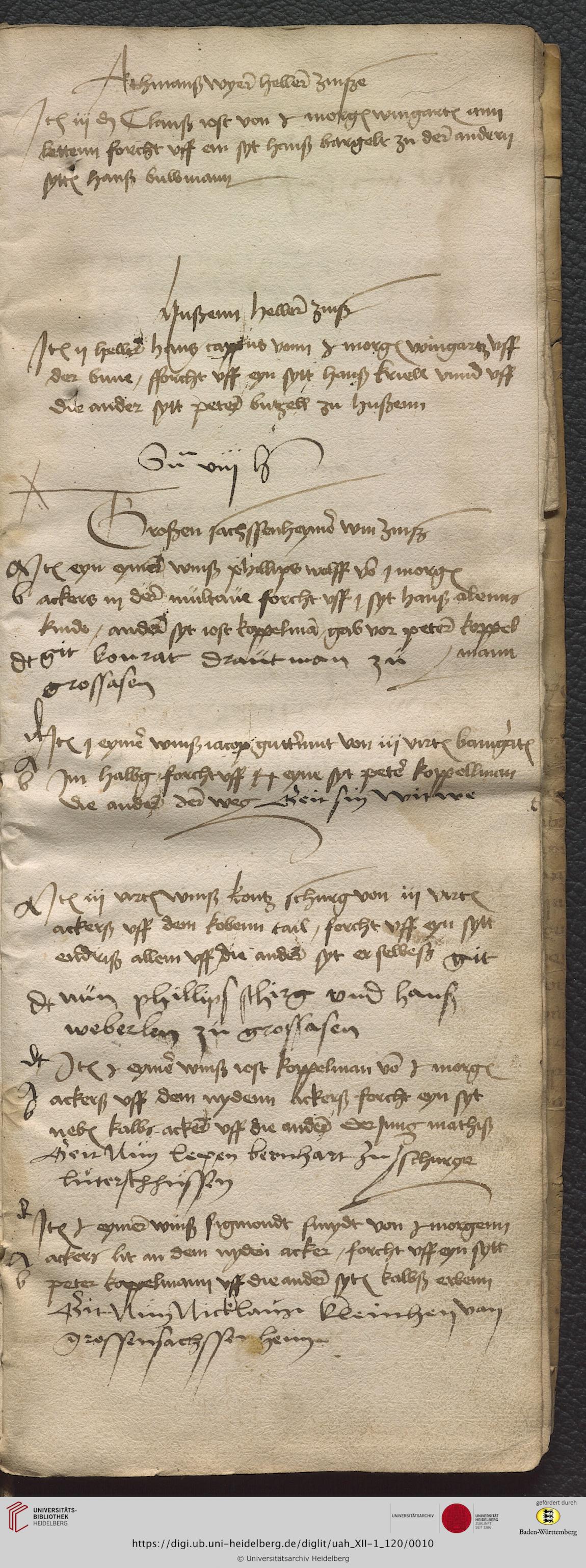 https://digi.ub.uni-heidelberg.de/diglitData/image/uah_XII-1_120/3/uah_xii-1_120_c09.jpg