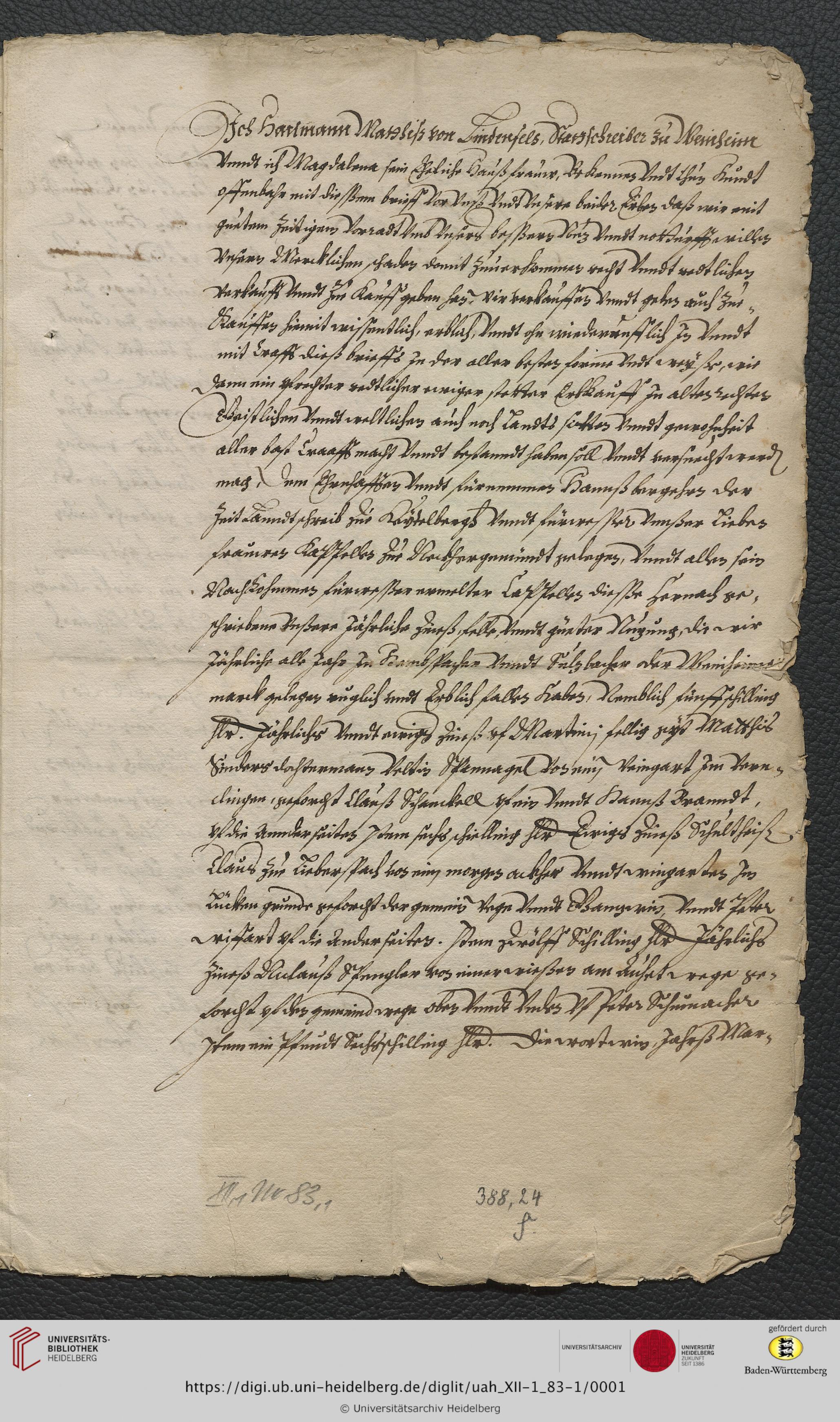 https://digi.ub.uni-heidelberg.de/diglitData/image/uah_XII-1_83-1/3/uah_xii-1_83-1_c1.jpg