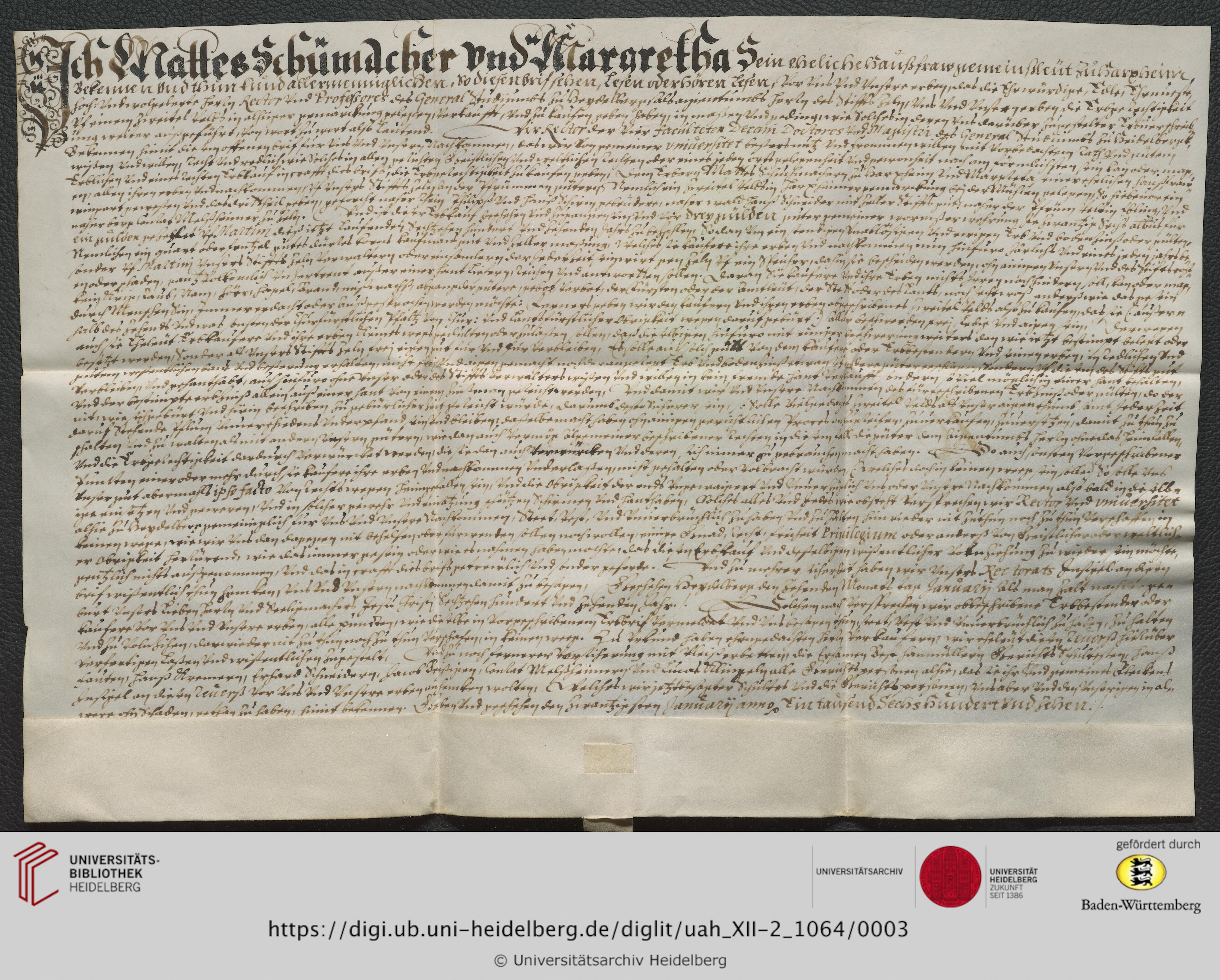 https://digi.ub.uni-heidelberg.de/diglitData/image/uah_XII-2_1064/3/uah_xii-2_1064_c1.jpg