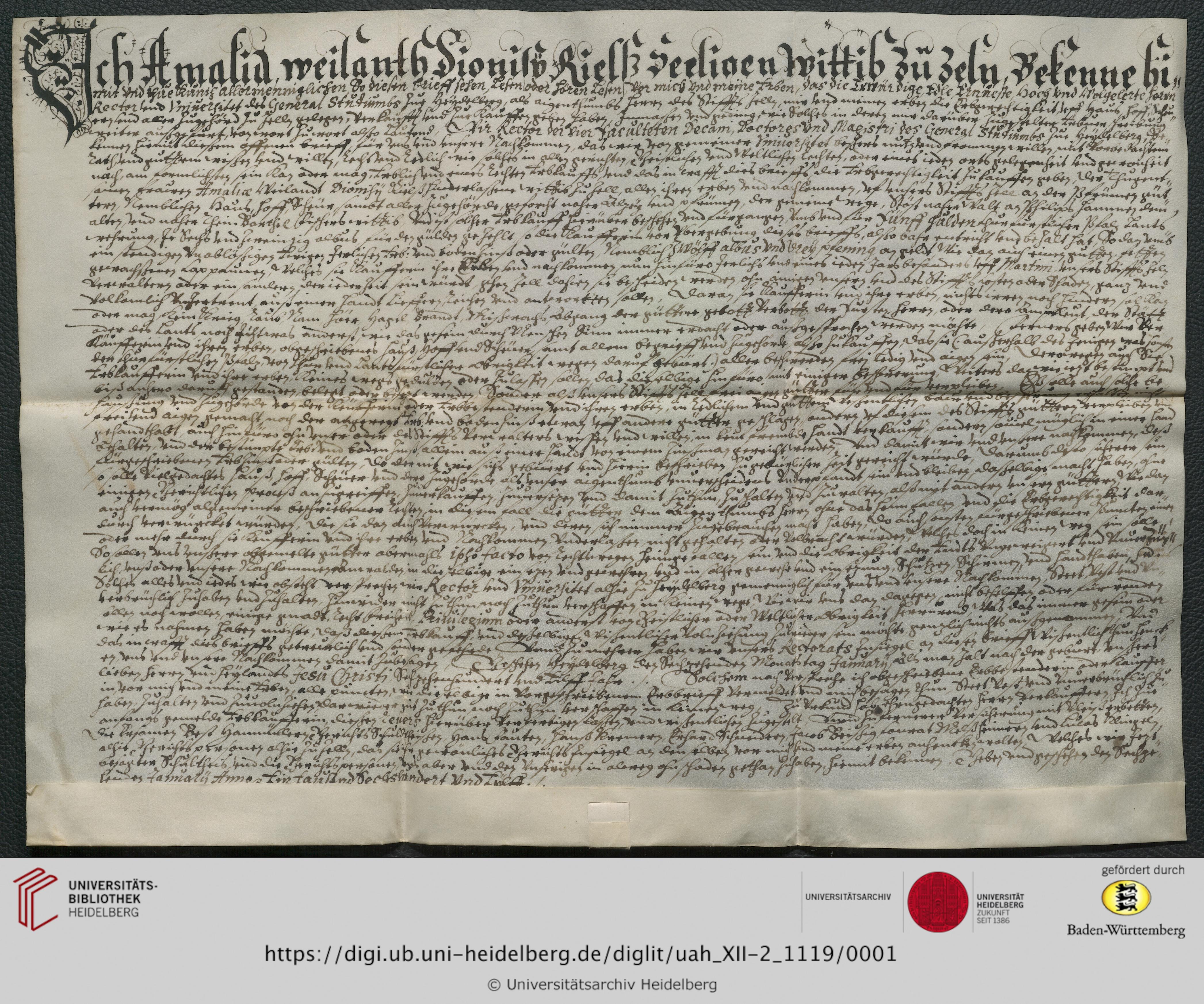 https://digi.ub.uni-heidelberg.de/diglitData/image/uah_XII-2_1119/3/uah_xii-2_1119_c1.jpg