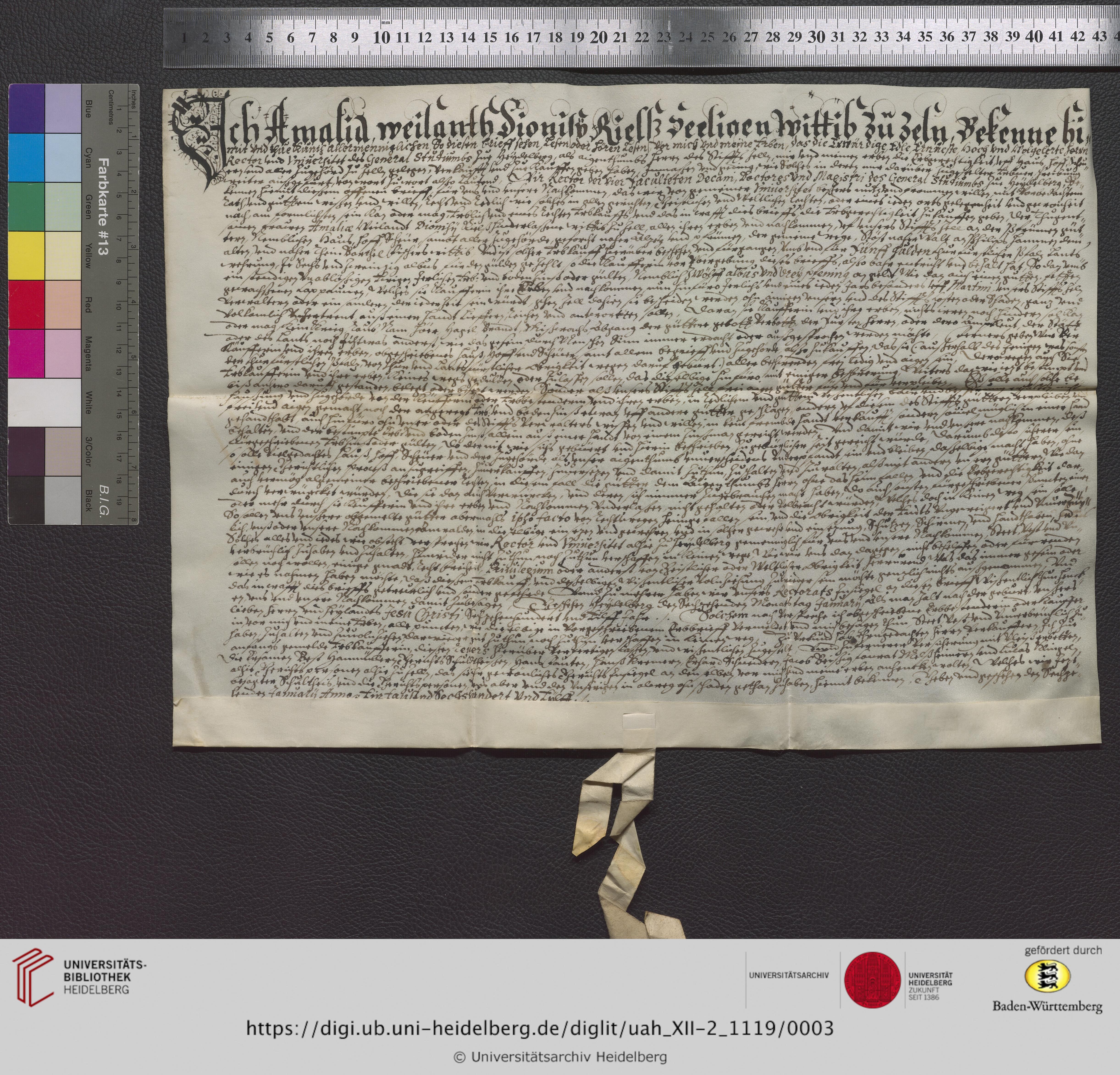 https://digi.ub.uni-heidelberg.de/diglitData/image/uah_XII-2_1119/3/uah_xii-2_1119_z1.jpg