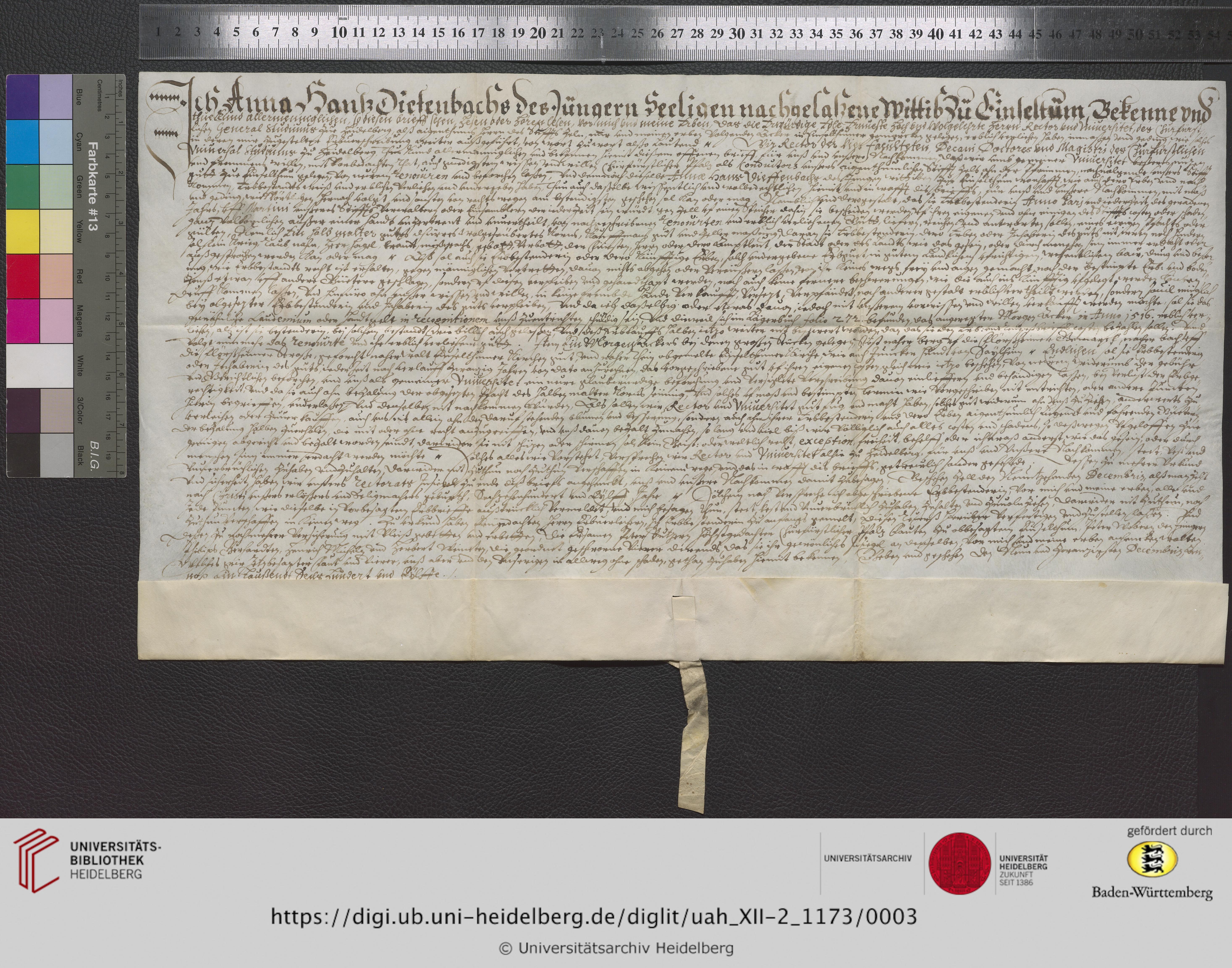 https://digi.ub.uni-heidelberg.de/diglitData/image/uah_XII-2_1173/3/uah_xii-2_1173_z1.jpg