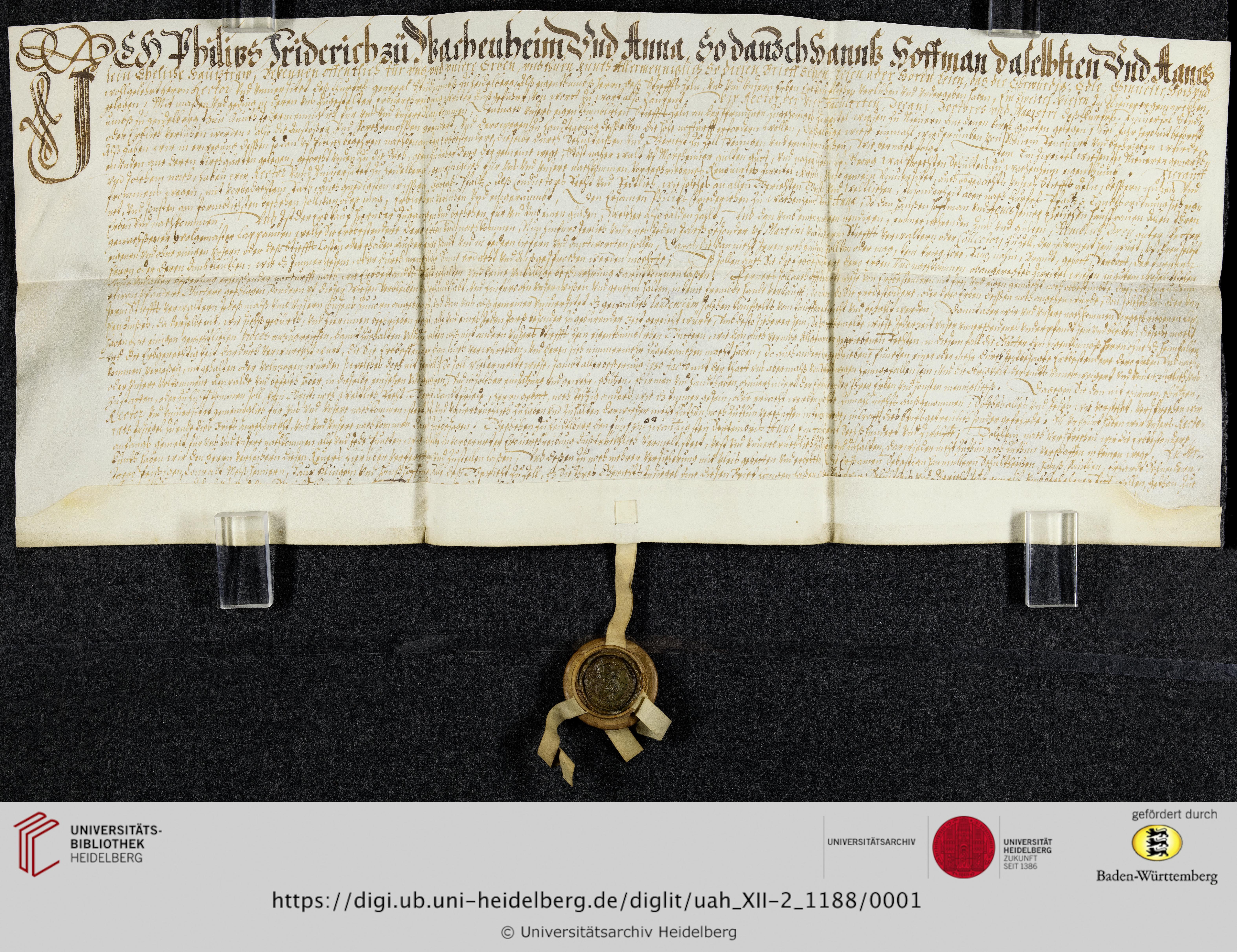 https://digi.ub.uni-heidelberg.de/diglitData/image/uah_XII-2_1188/3/uah_xii-2_1188_a1.jpg