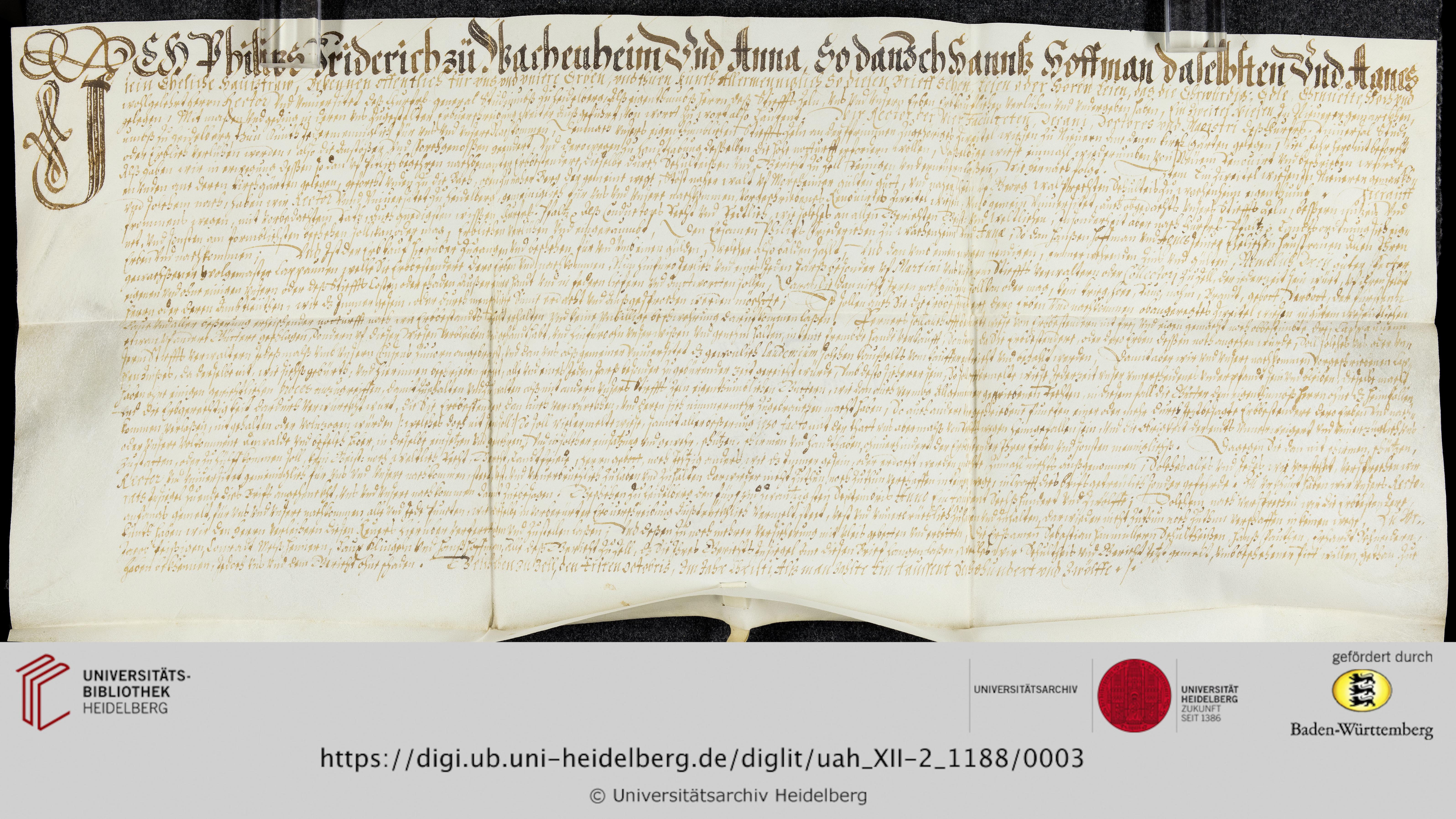 https://digi.ub.uni-heidelberg.de/diglitData/image/uah_XII-2_1188/3/uah_xii-2_1188_c1.jpg