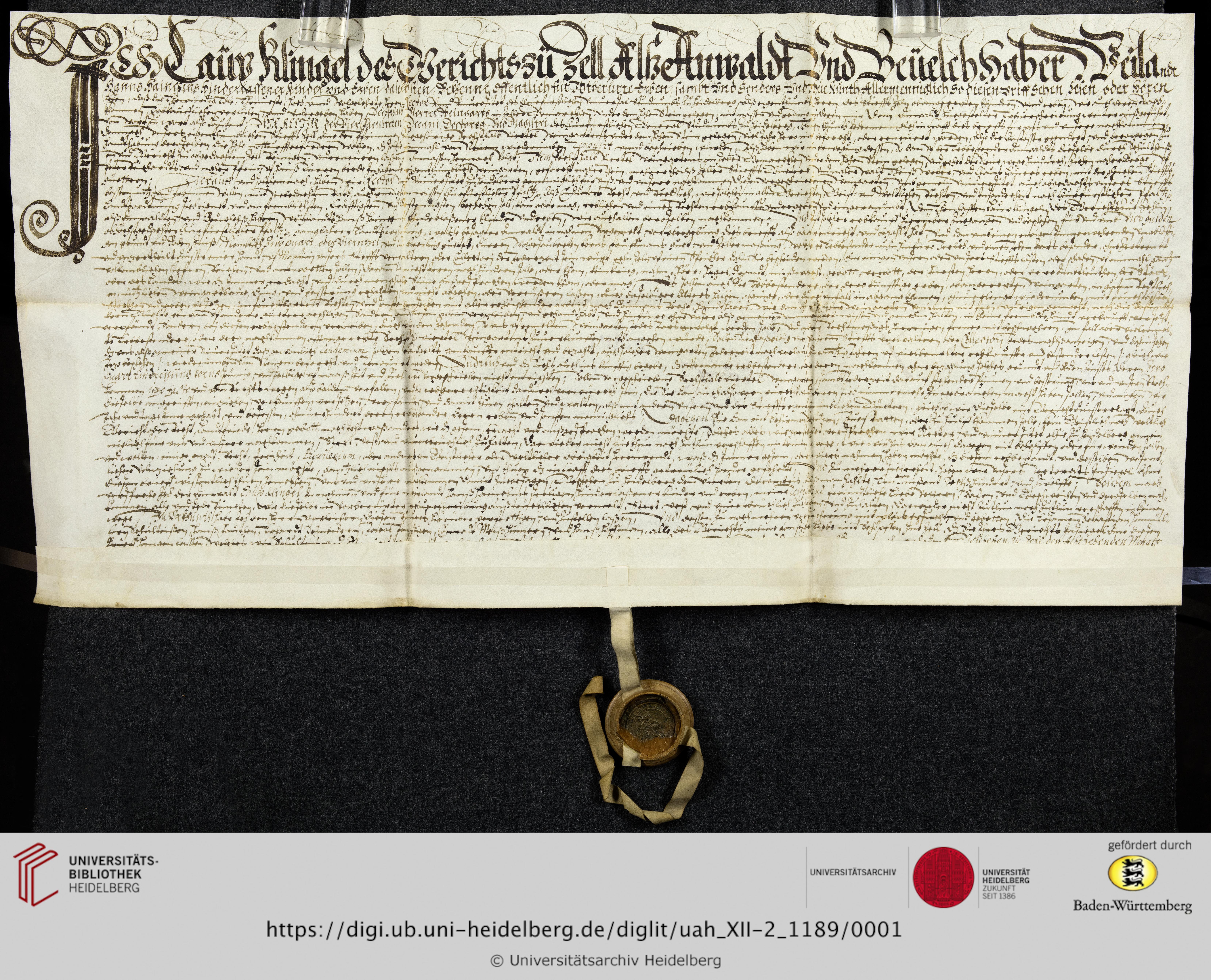 https://digi.ub.uni-heidelberg.de/diglitData/image/uah_XII-2_1189/3/uah_xii-2_1189_a1.jpg