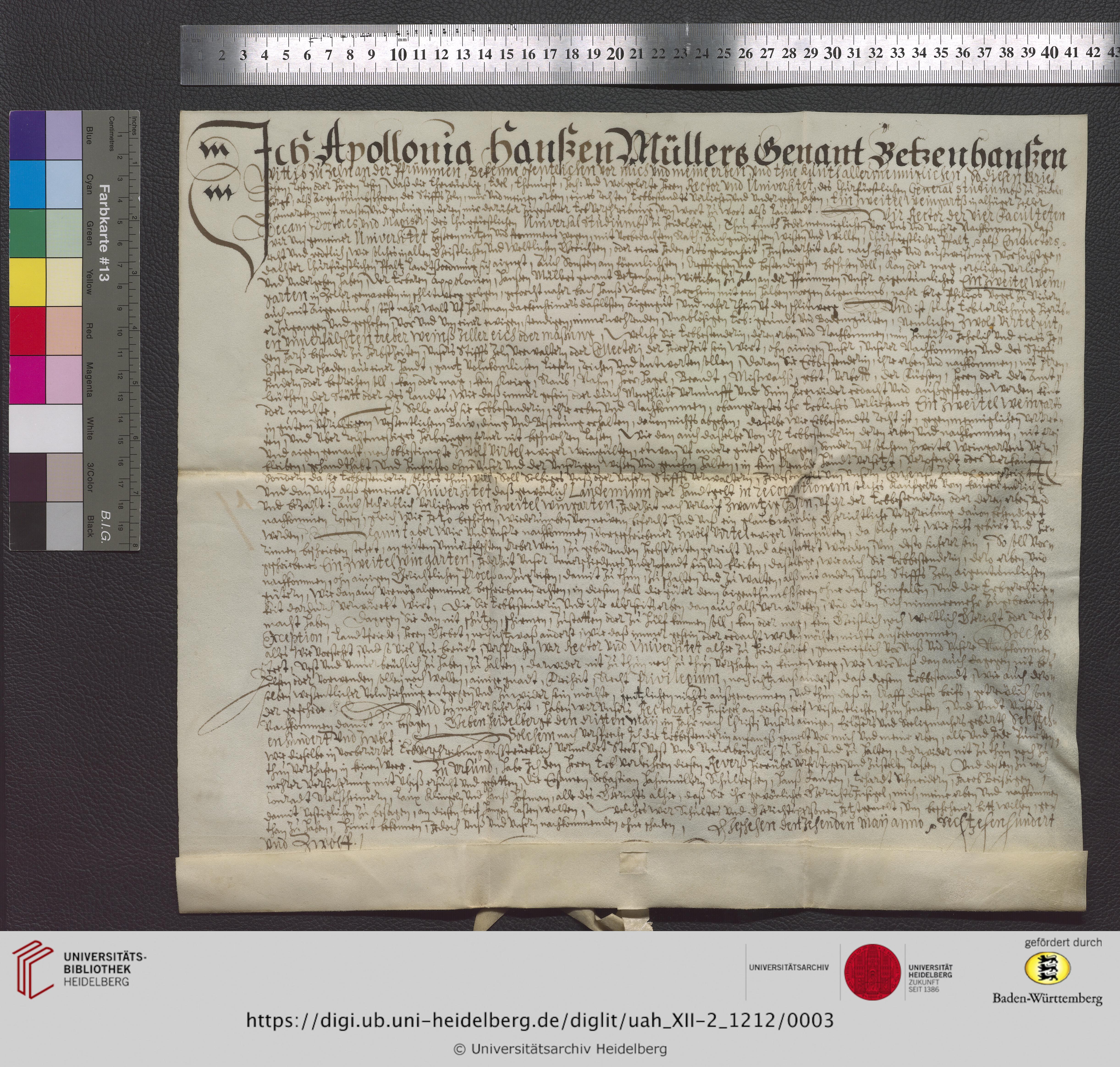https://digi.ub.uni-heidelberg.de/diglitData/image/uah_XII-2_1212/3/uah_xii-2_1212_z1.jpg