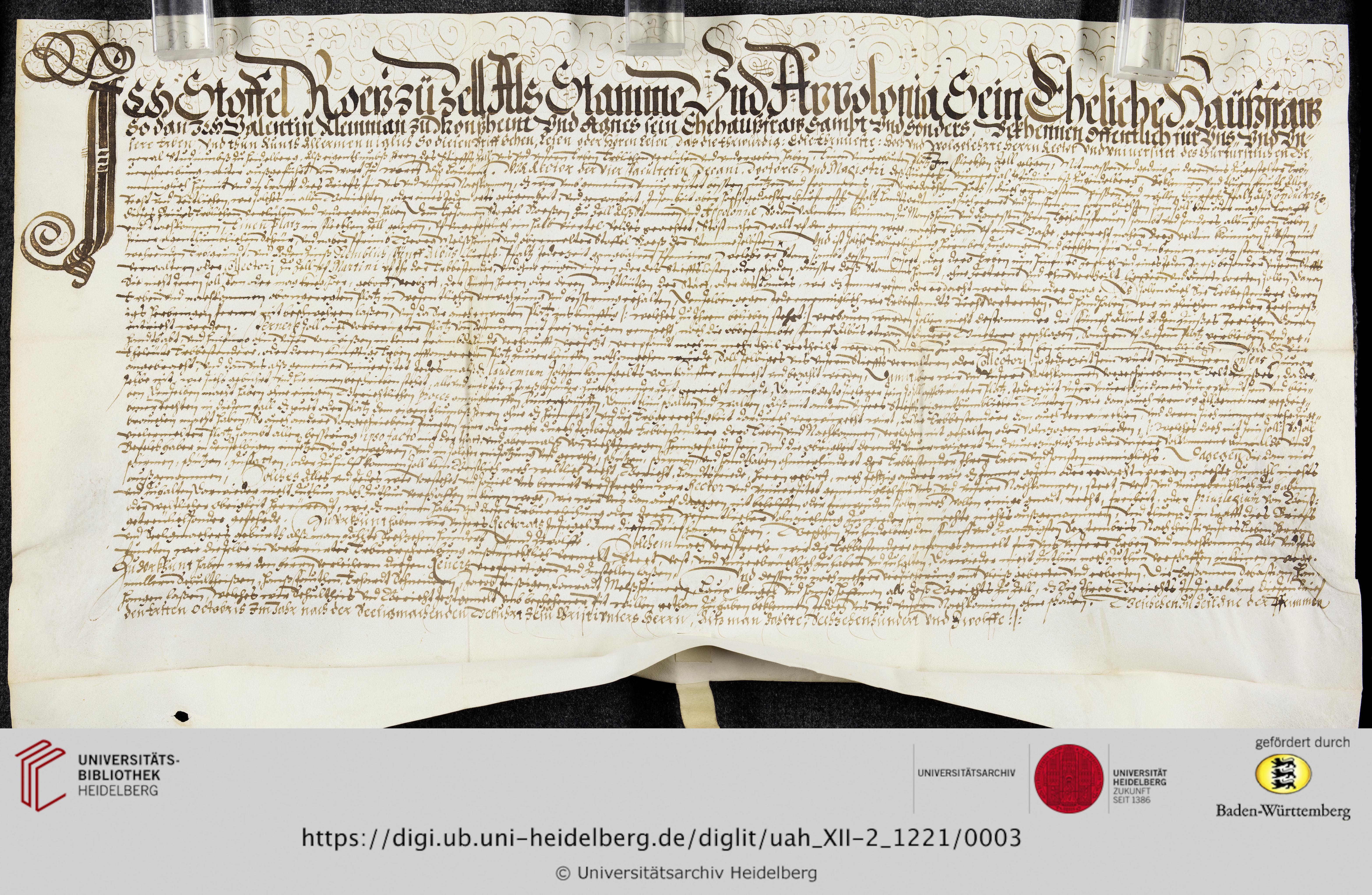 https://digi.ub.uni-heidelberg.de/diglitData/image/uah_XII-2_1221/3/uah_xii-2_1221_c1.jpg