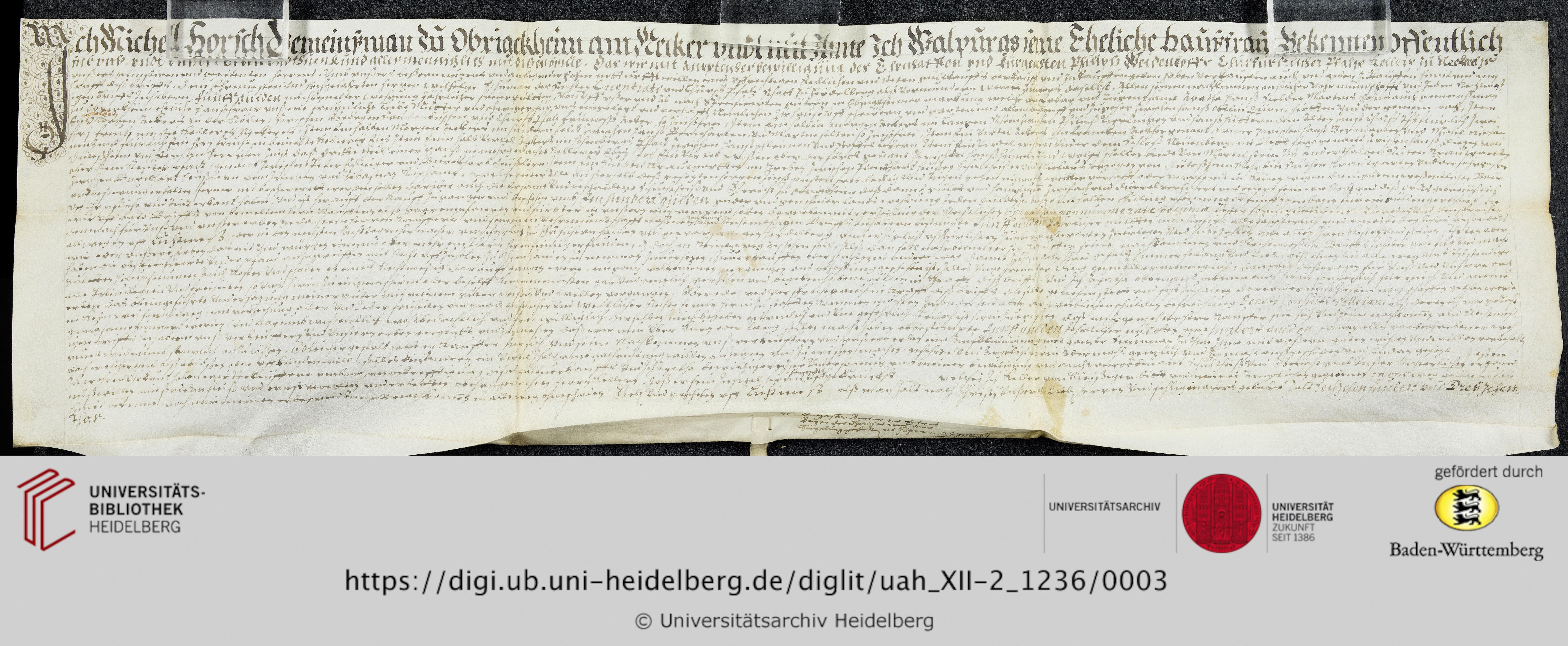 https://digi.ub.uni-heidelberg.de/diglitData/image/uah_XII-2_1236/3/uah_xii-2_1236_c1.jpg