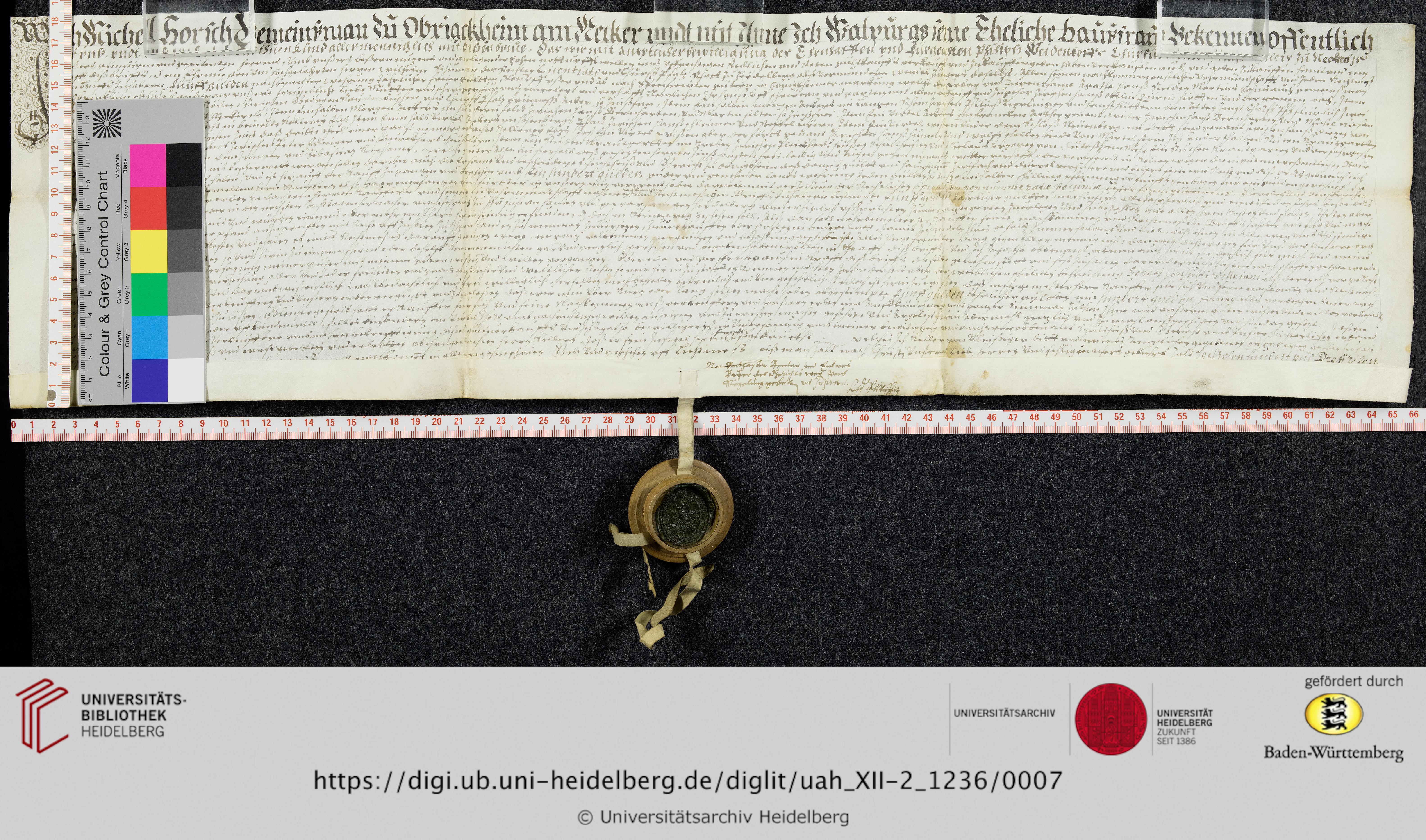 https://digi.ub.uni-heidelberg.de/diglitData/image/uah_XII-2_1236/3/uah_xii-2_1236_z1.jpg