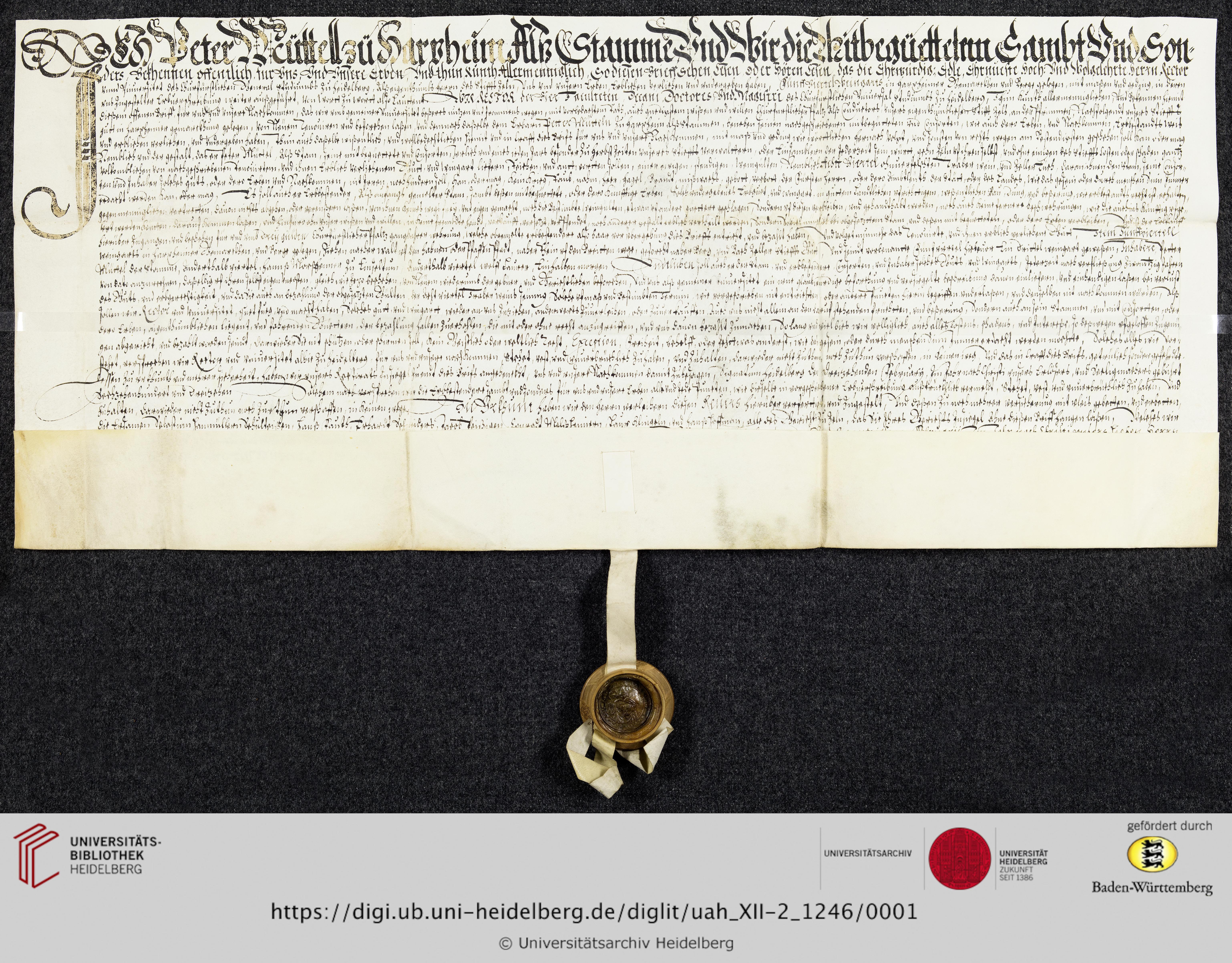 https://digi.ub.uni-heidelberg.de/diglitData/image/uah_XII-2_1246/3/uah_xii-2_1246_a1.jpg