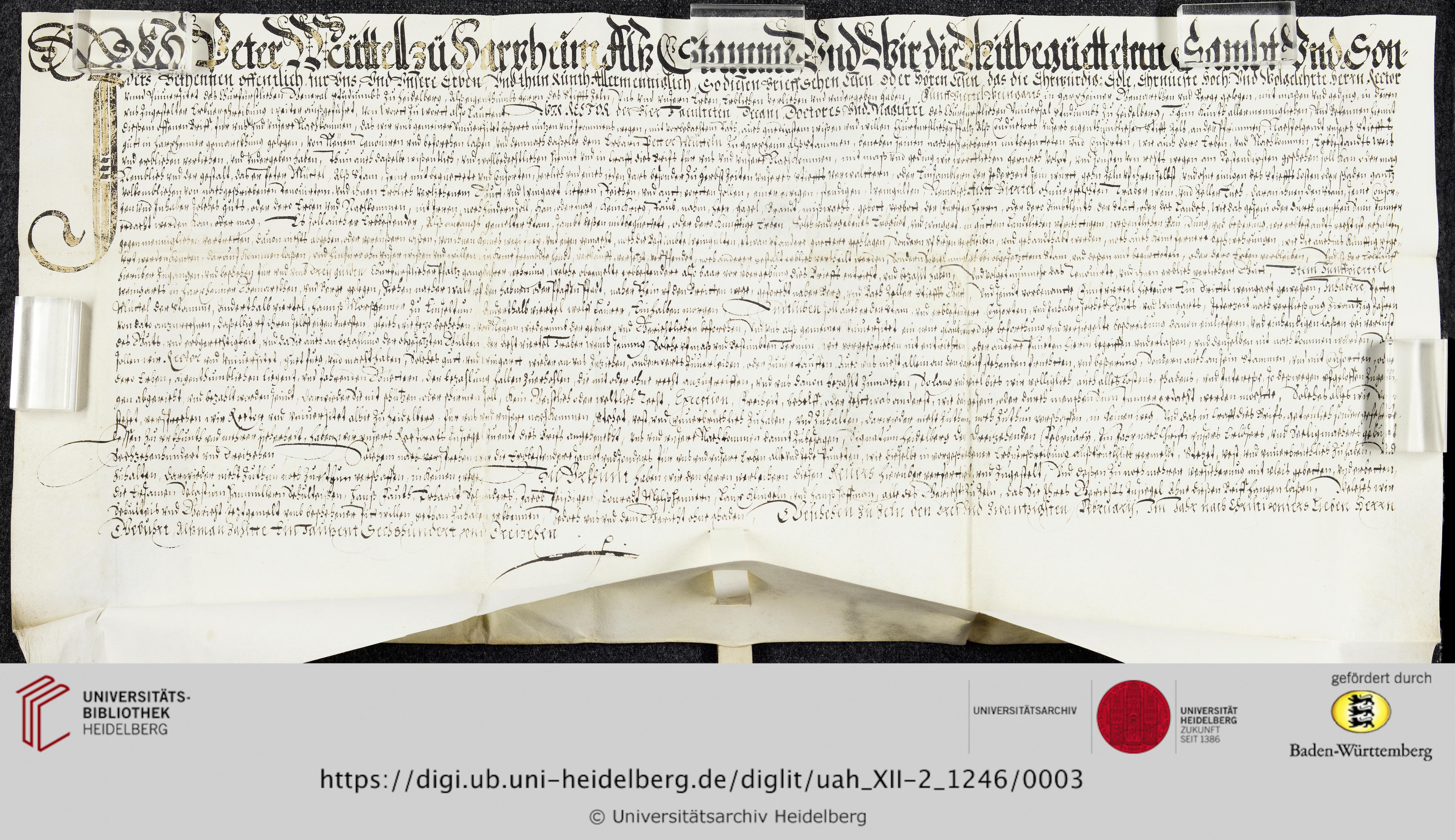 https://digi.ub.uni-heidelberg.de/diglitData/image/uah_XII-2_1246/3/uah_xii-2_1246_c1.jpg