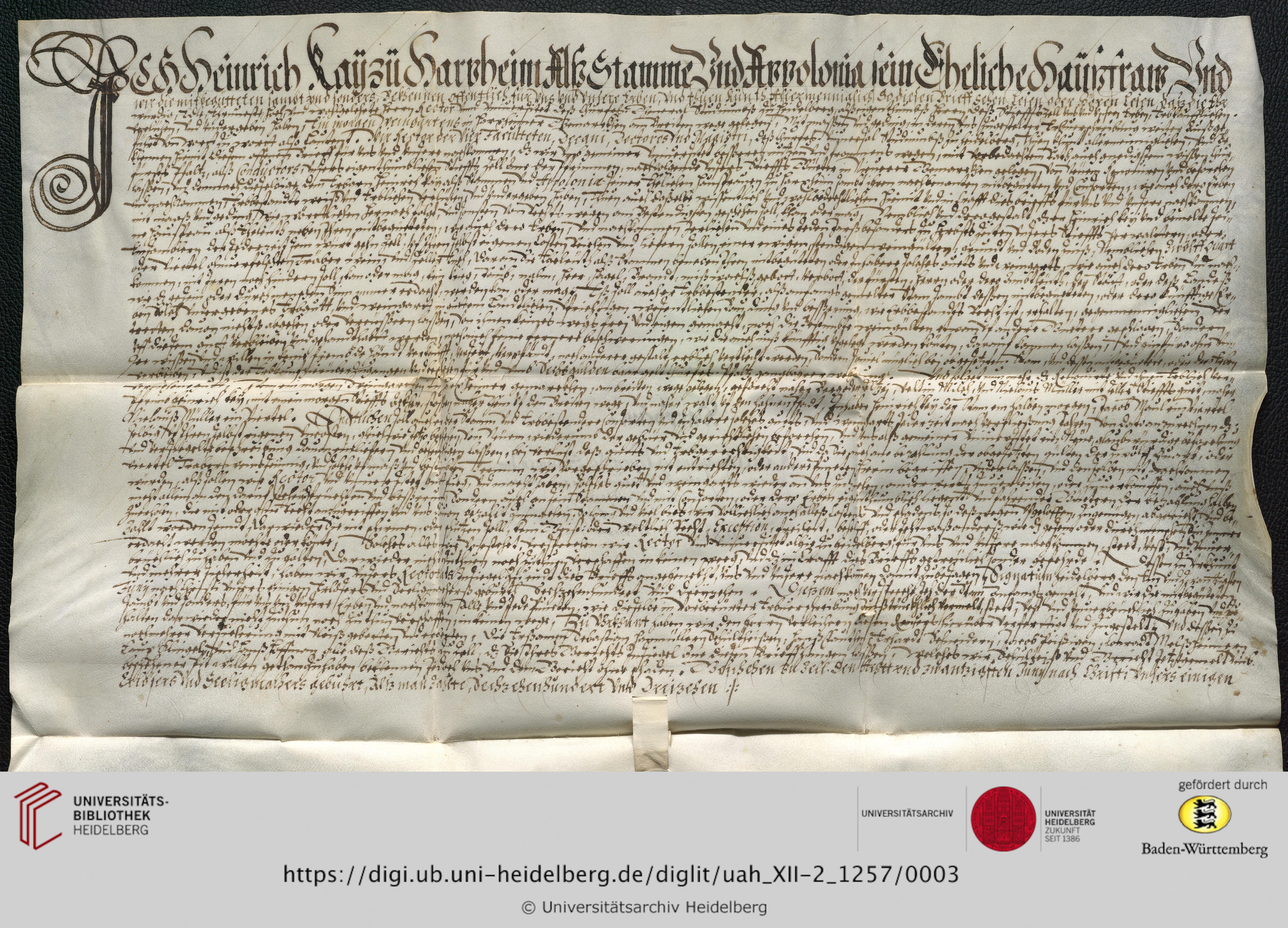 https://digi.ub.uni-heidelberg.de/diglitData/image/uah_XII-2_1257/3/uah_xii-2_1257_c1.jpg