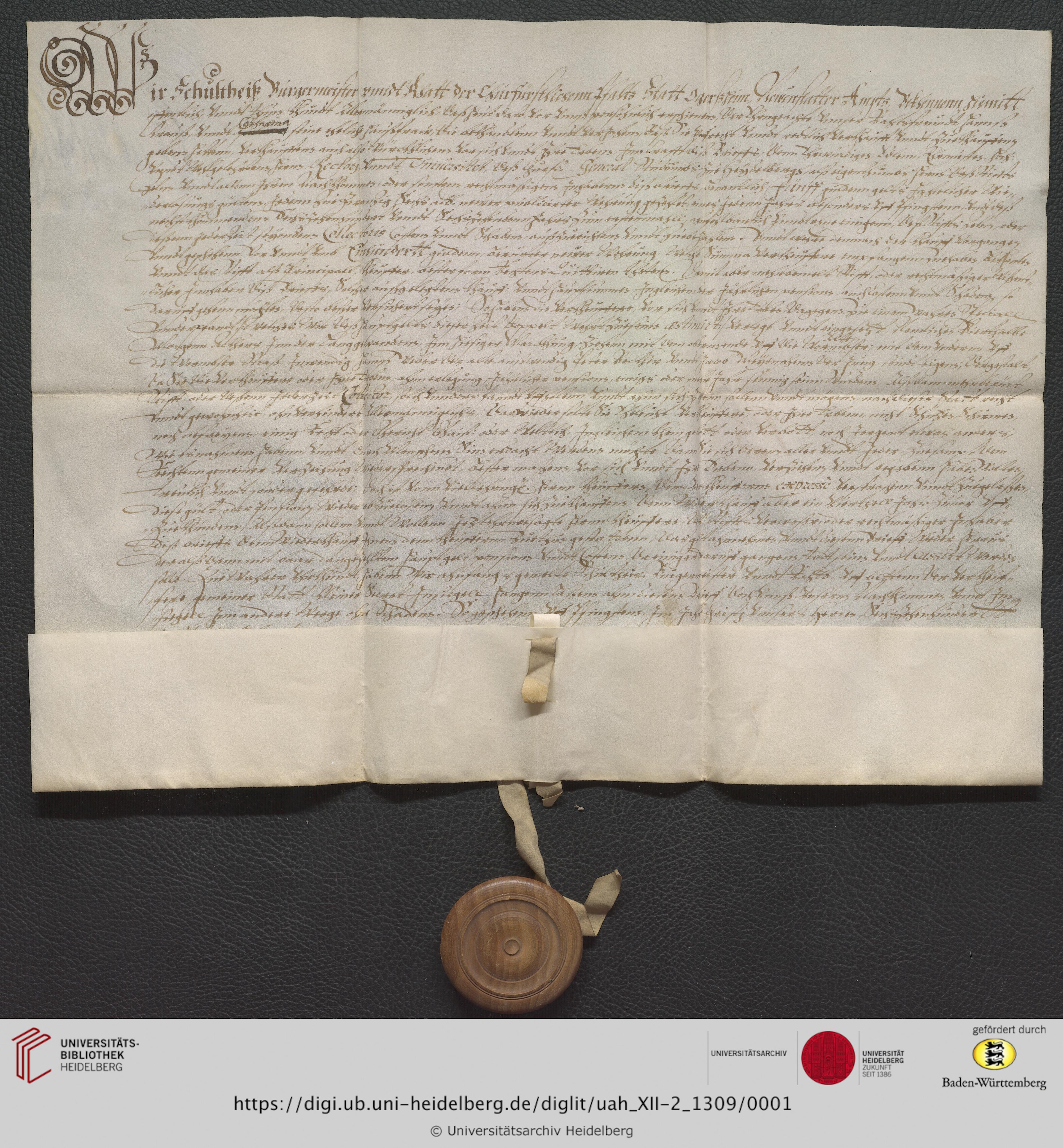 https://digi.ub.uni-heidelberg.de/diglitData/image/uah_XII-2_1309/3/uah_xii-2_1309_a1.jpg