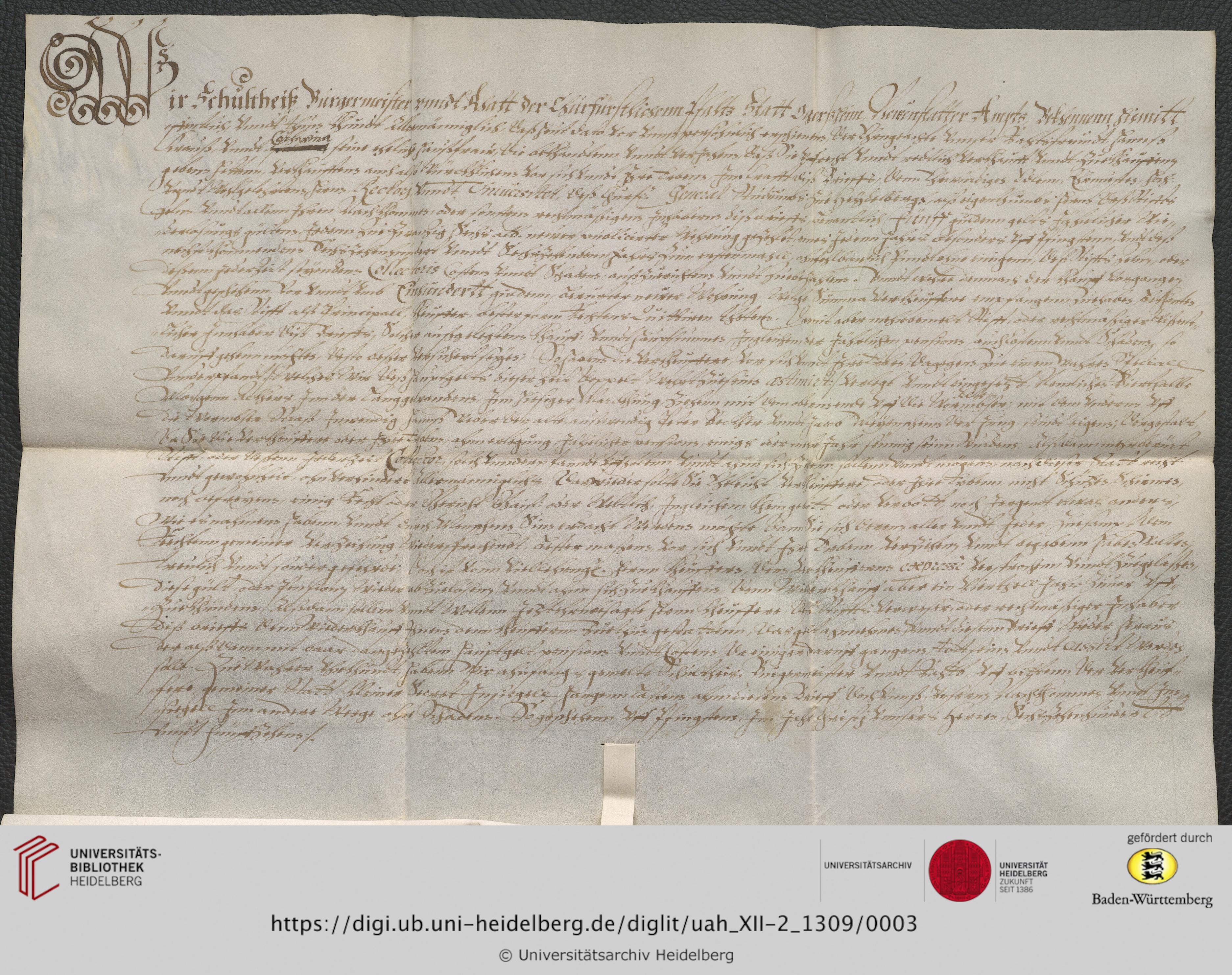 https://digi.ub.uni-heidelberg.de/diglitData/image/uah_XII-2_1309/3/uah_xii-2_1309_c1.jpg