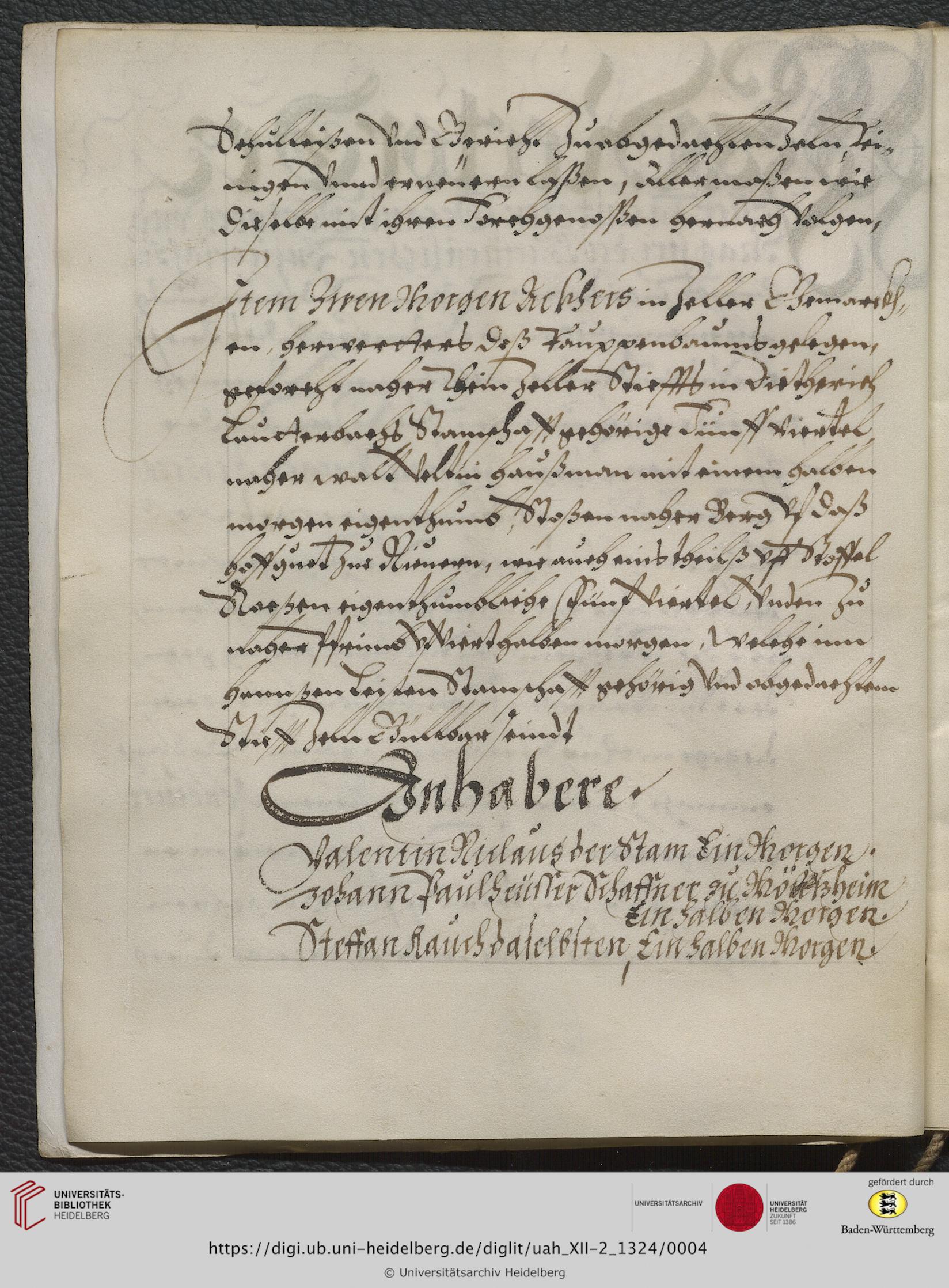 https://digi.ub.uni-heidelberg.de/diglitData/image/uah_XII-2_1324/3/uah_xii-2_1324_c04.jpg
