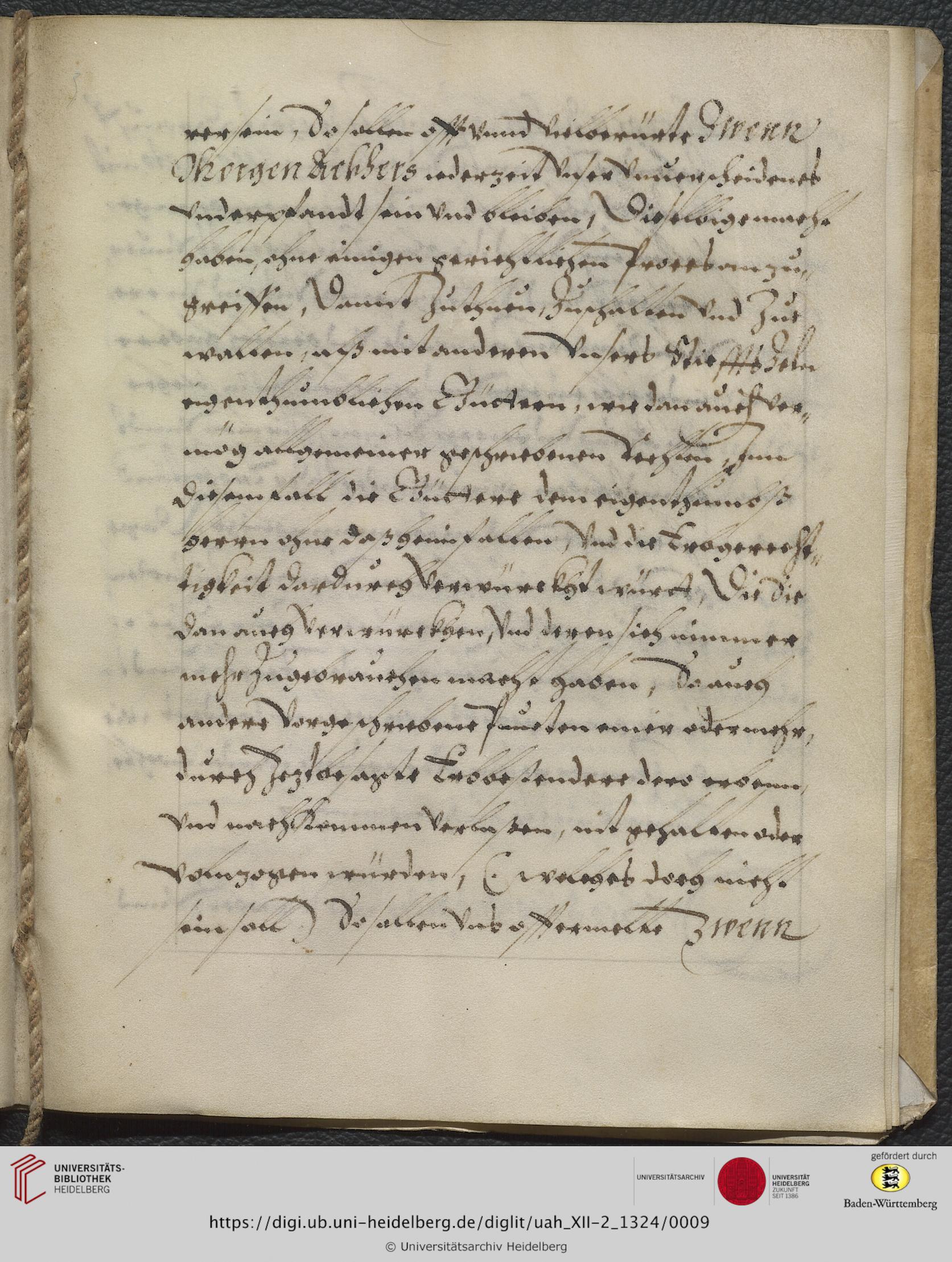 https://digi.ub.uni-heidelberg.de/diglitData/image/uah_XII-2_1324/3/uah_xii-2_1324_c09.jpg