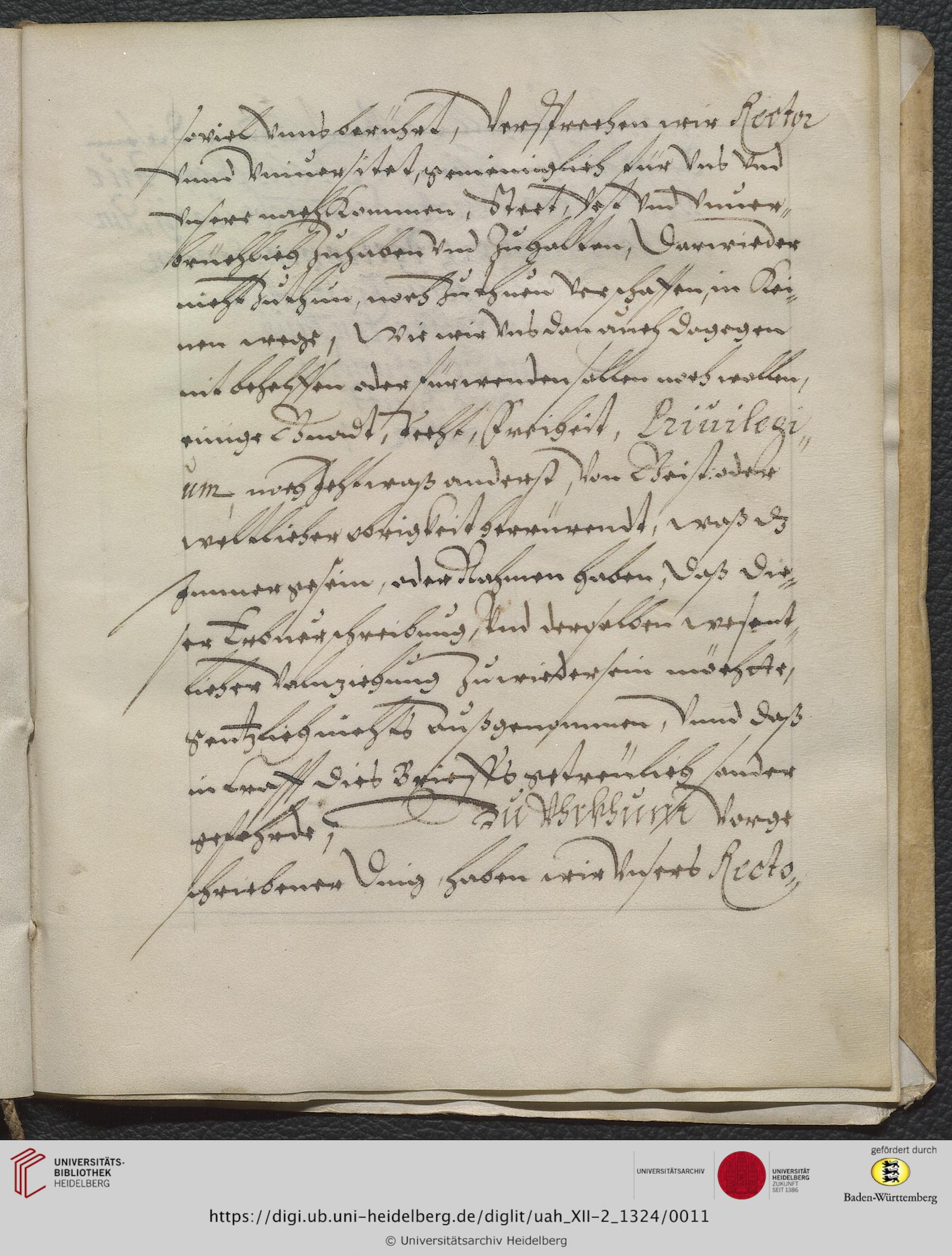 https://digi.ub.uni-heidelberg.de/diglitData/image/uah_XII-2_1324/3/uah_xii-2_1324_c11.jpg