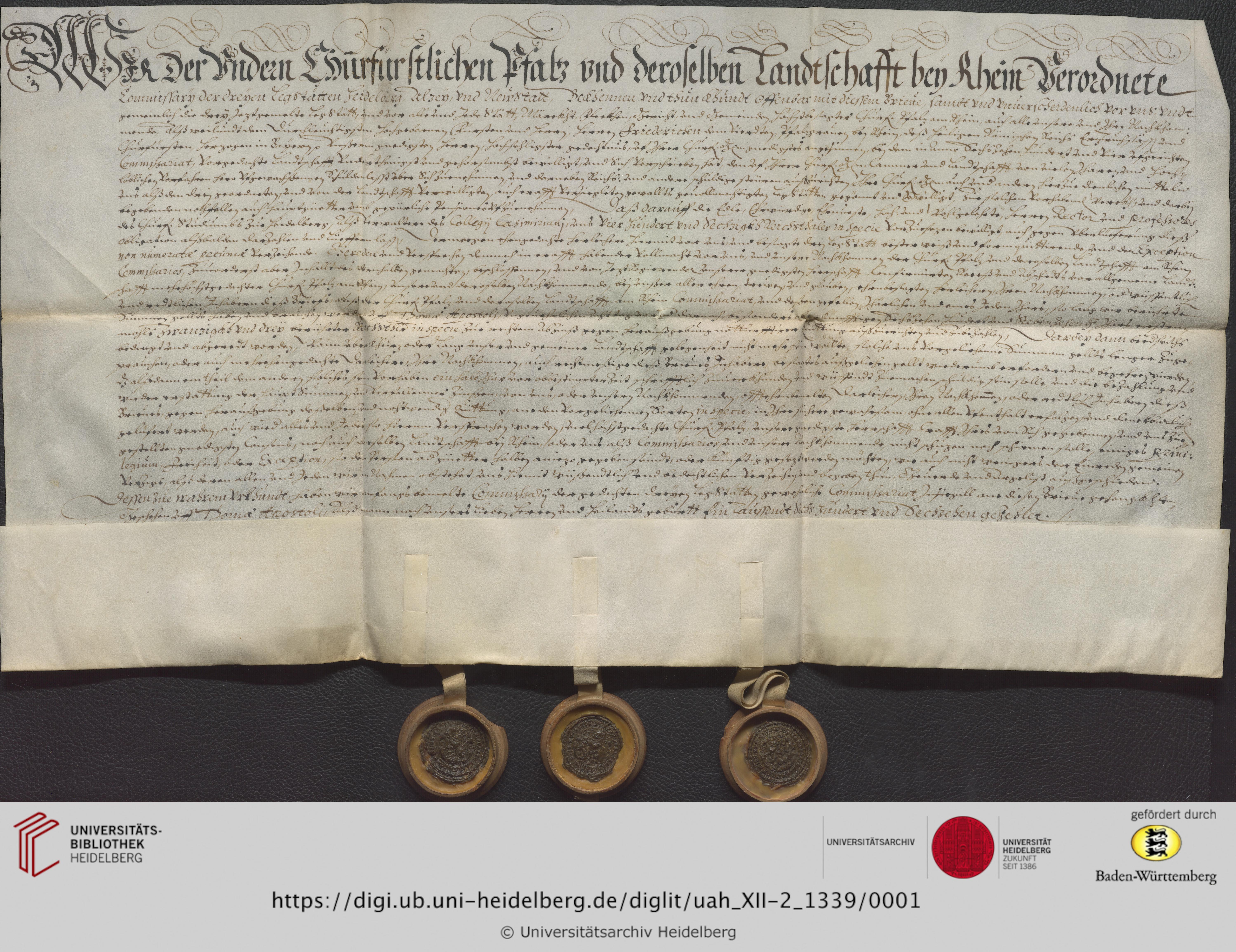 https://digi.ub.uni-heidelberg.de/diglitData/image/uah_XII-2_1339/3/uah_xii-2_1339_a1.jpg