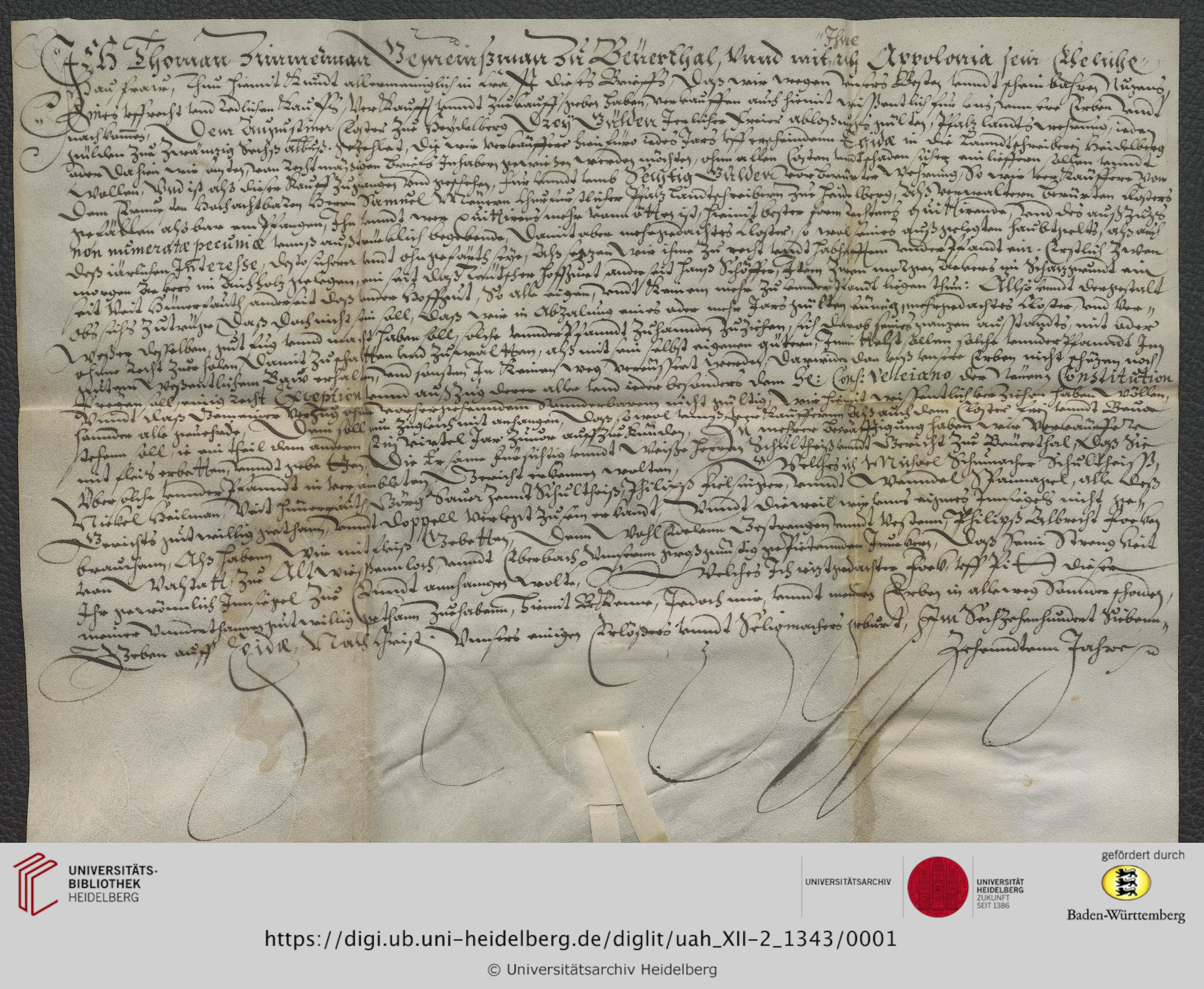 https://digi.ub.uni-heidelberg.de/diglitData/image/uah_XII-2_1343/3/uah_xii-2_1343_c1.jpg