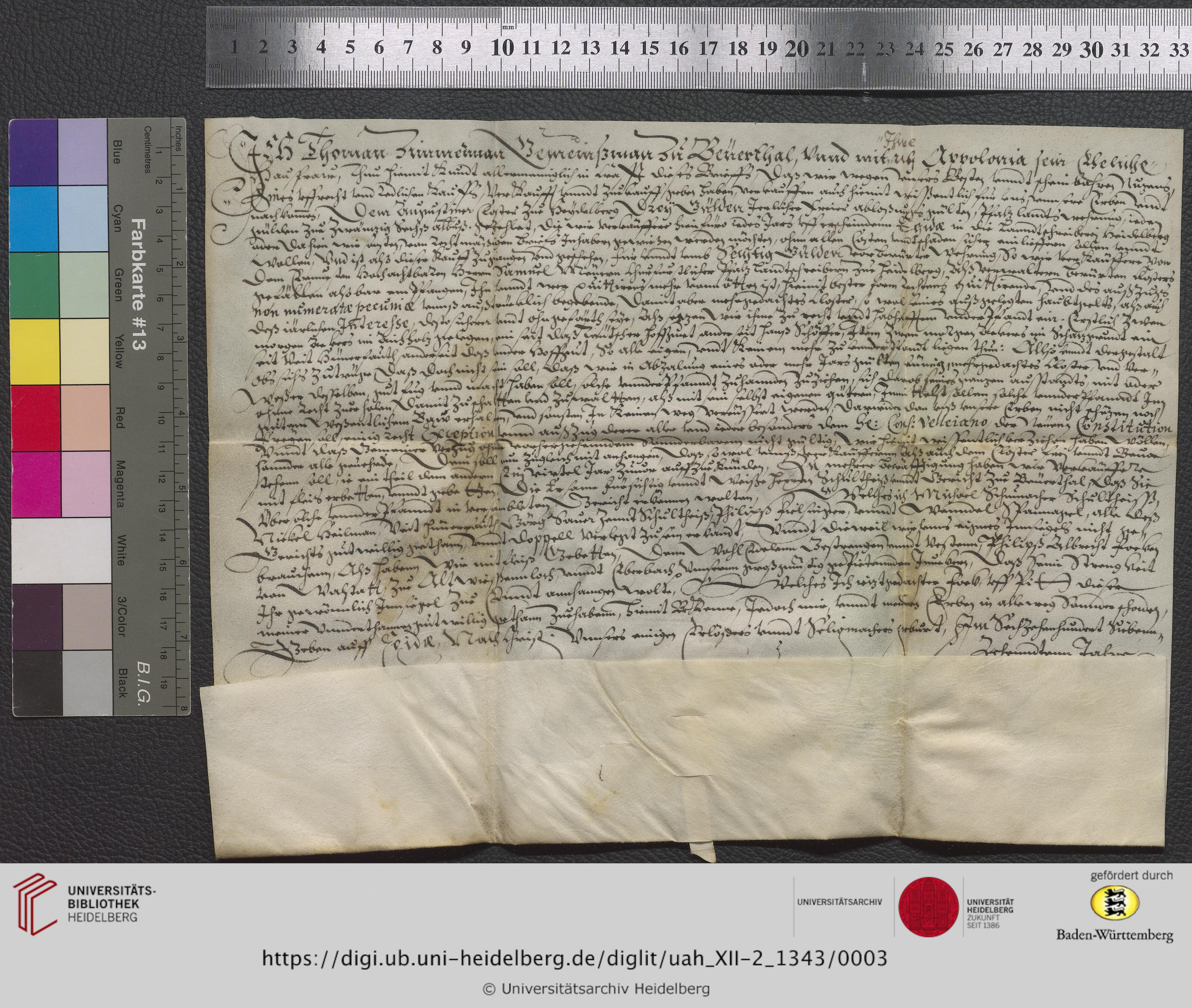 https://digi.ub.uni-heidelberg.de/diglitData/image/uah_XII-2_1343/3/uah_xii-2_1343_z1.jpg
