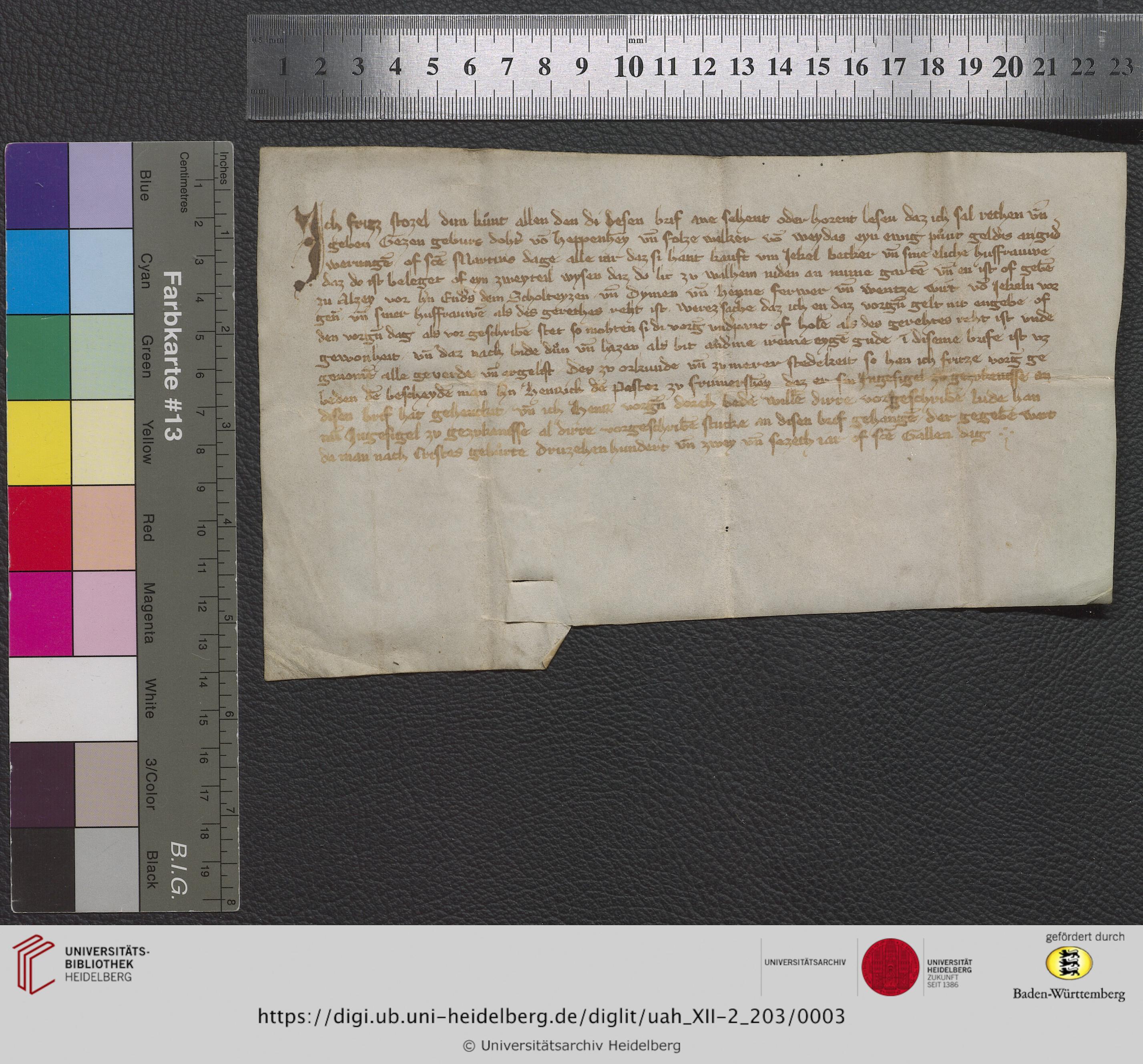 https://digi.ub.uni-heidelberg.de/diglitData/image/uah_XII-2_203/3/uah_xii-2_203_z1.jpg