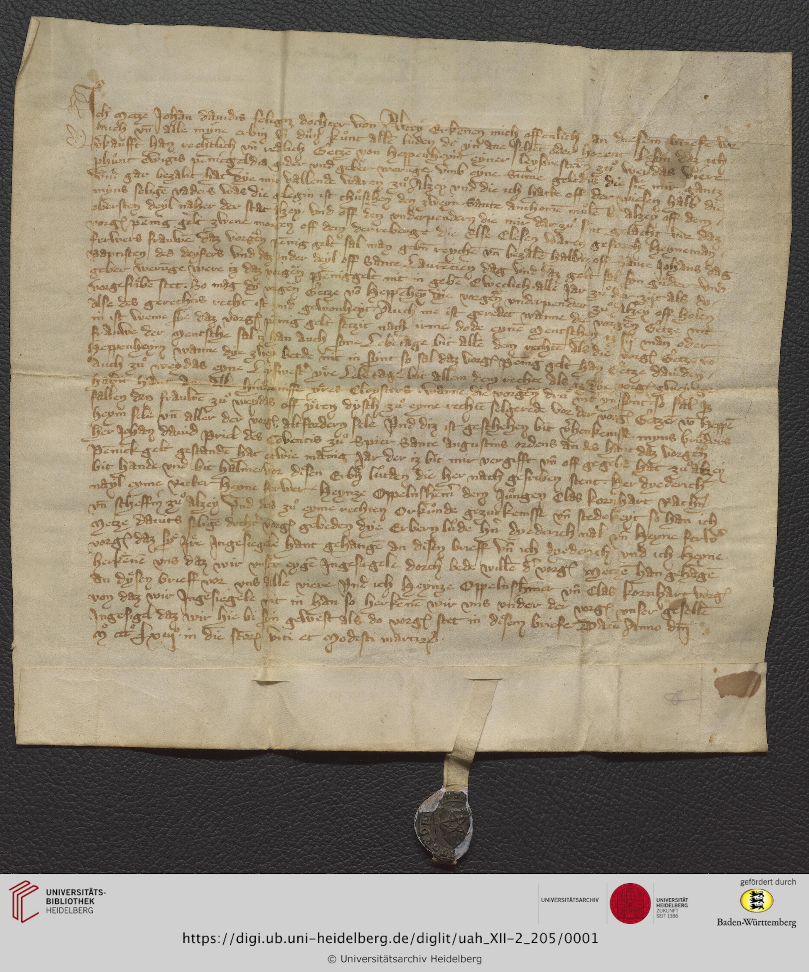 https://digi.ub.uni-heidelberg.de/diglitData/image/uah_XII-2_205/3/uah_xii-2_205_a1.jpg
