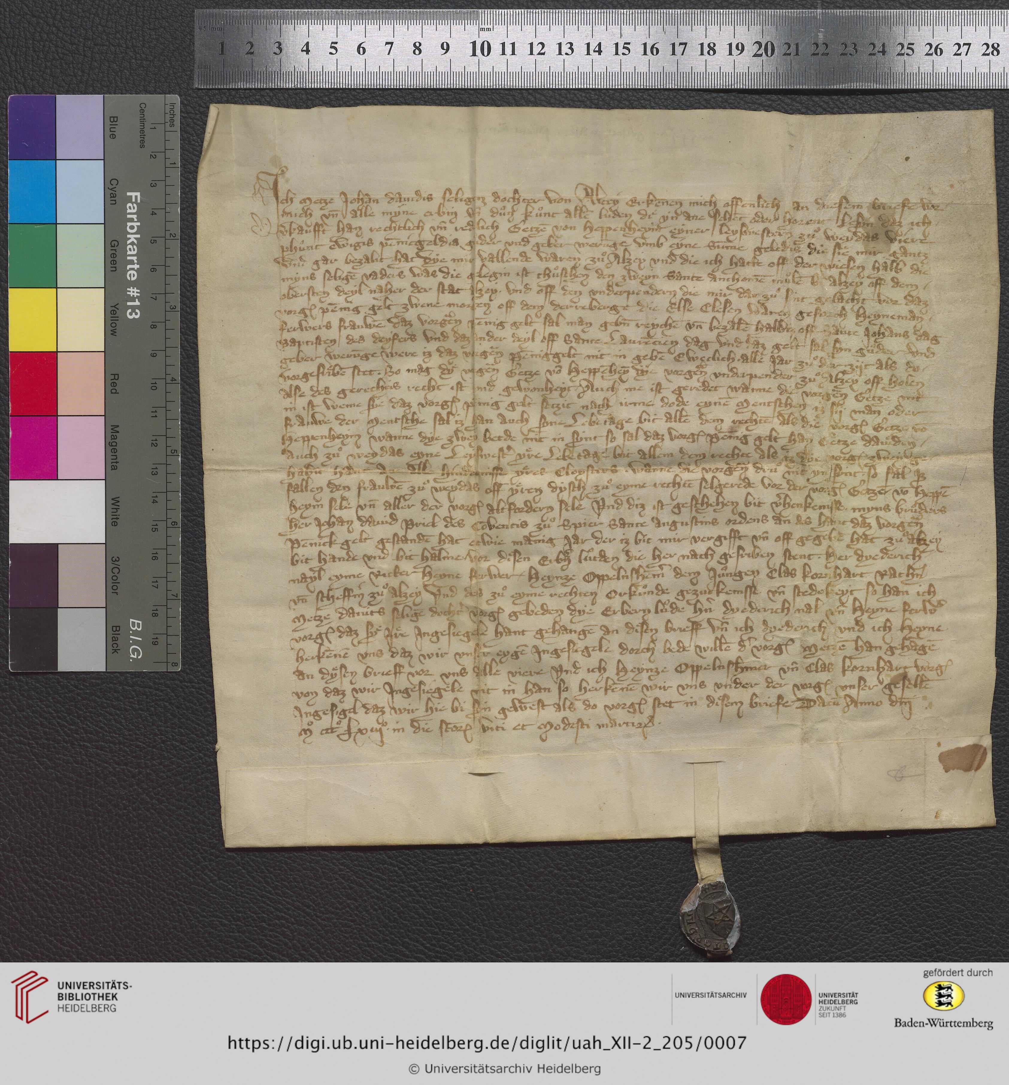 https://digi.ub.uni-heidelberg.de/diglitData/image/uah_XII-2_205/3/uah_xii-2_205_z1.jpg
