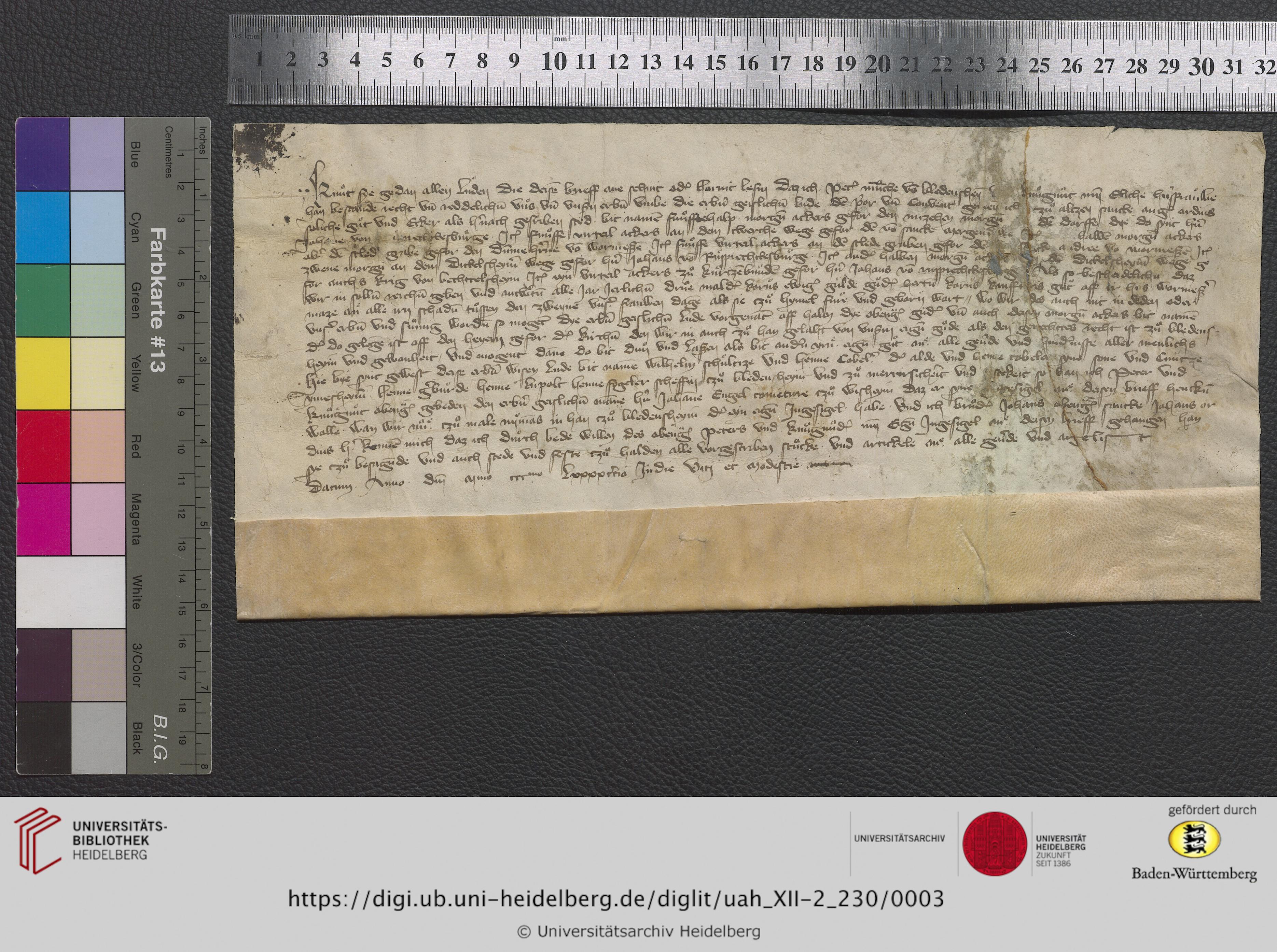 https://digi.ub.uni-heidelberg.de/diglitData/image/uah_XII-2_230/3/uah_xii-2_230_z1.jpg