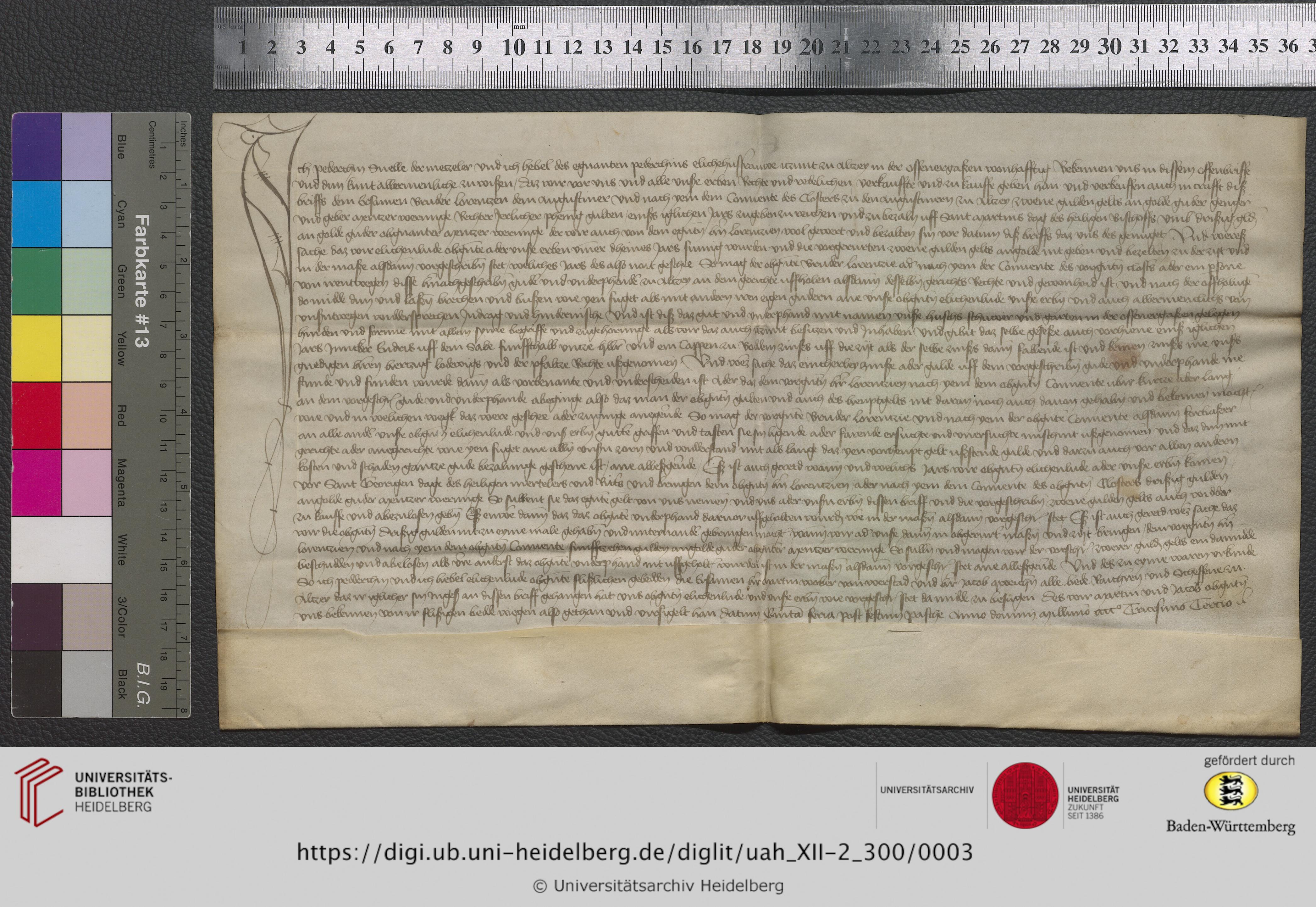 https://digi.ub.uni-heidelberg.de/diglitData/image/uah_XII-2_300/3/uah_xii-2_300_z1.jpg